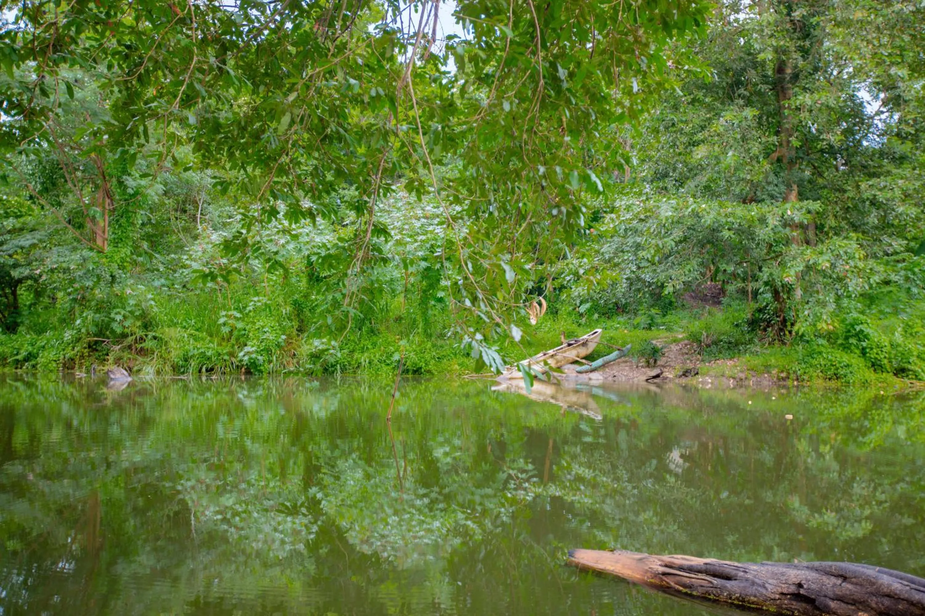 Natural landscape in Yala River Face Inn