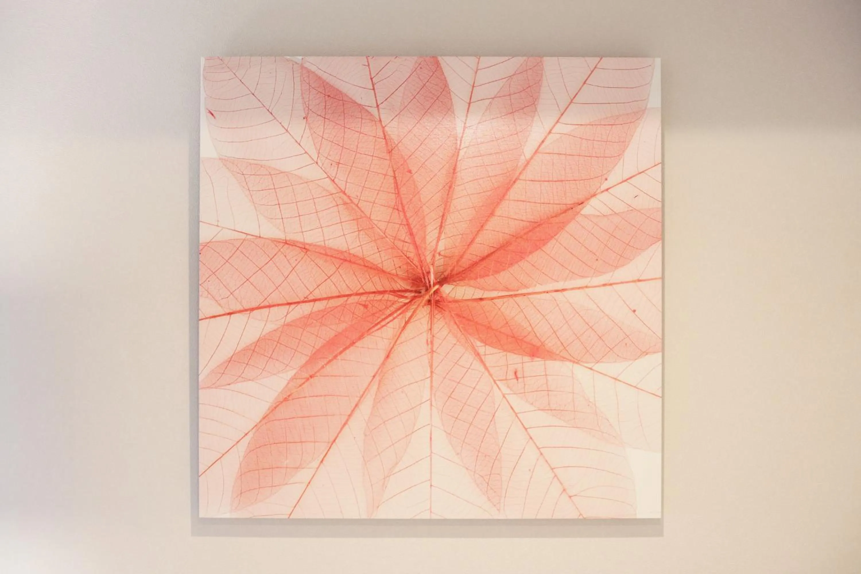 unito Shibuya shinsen