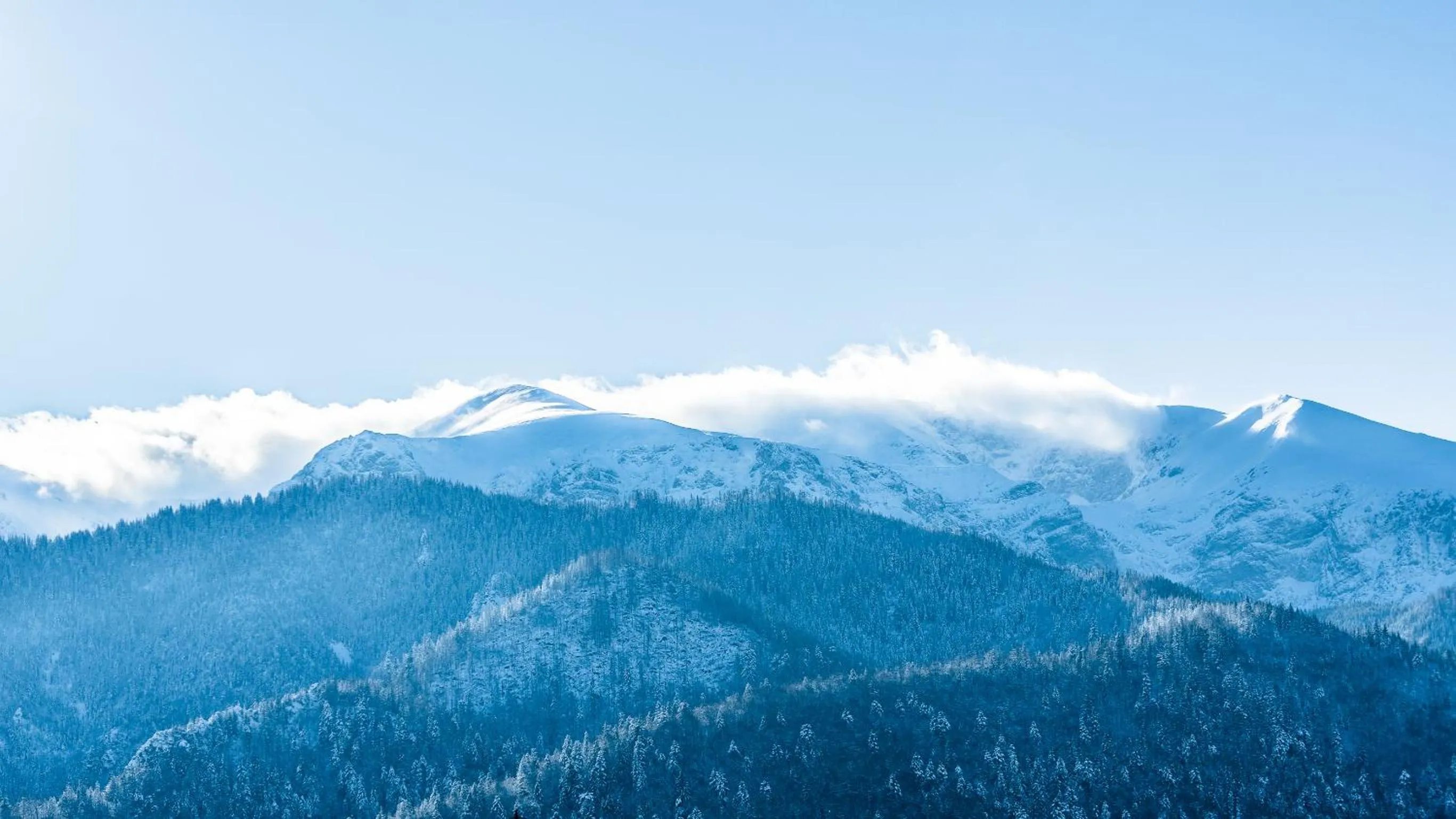 Villa Delta Boutique