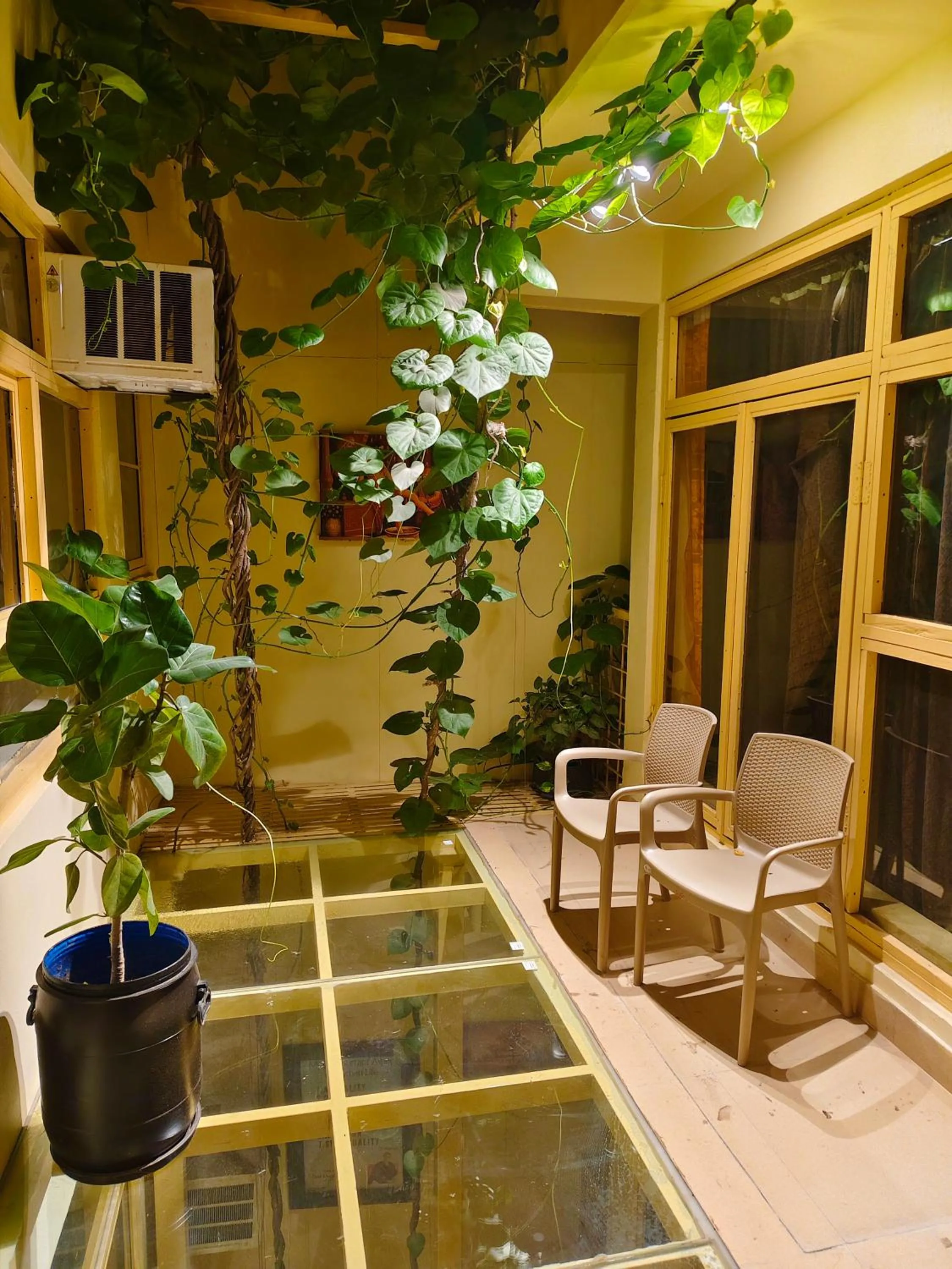 Garden in Devi music ashram