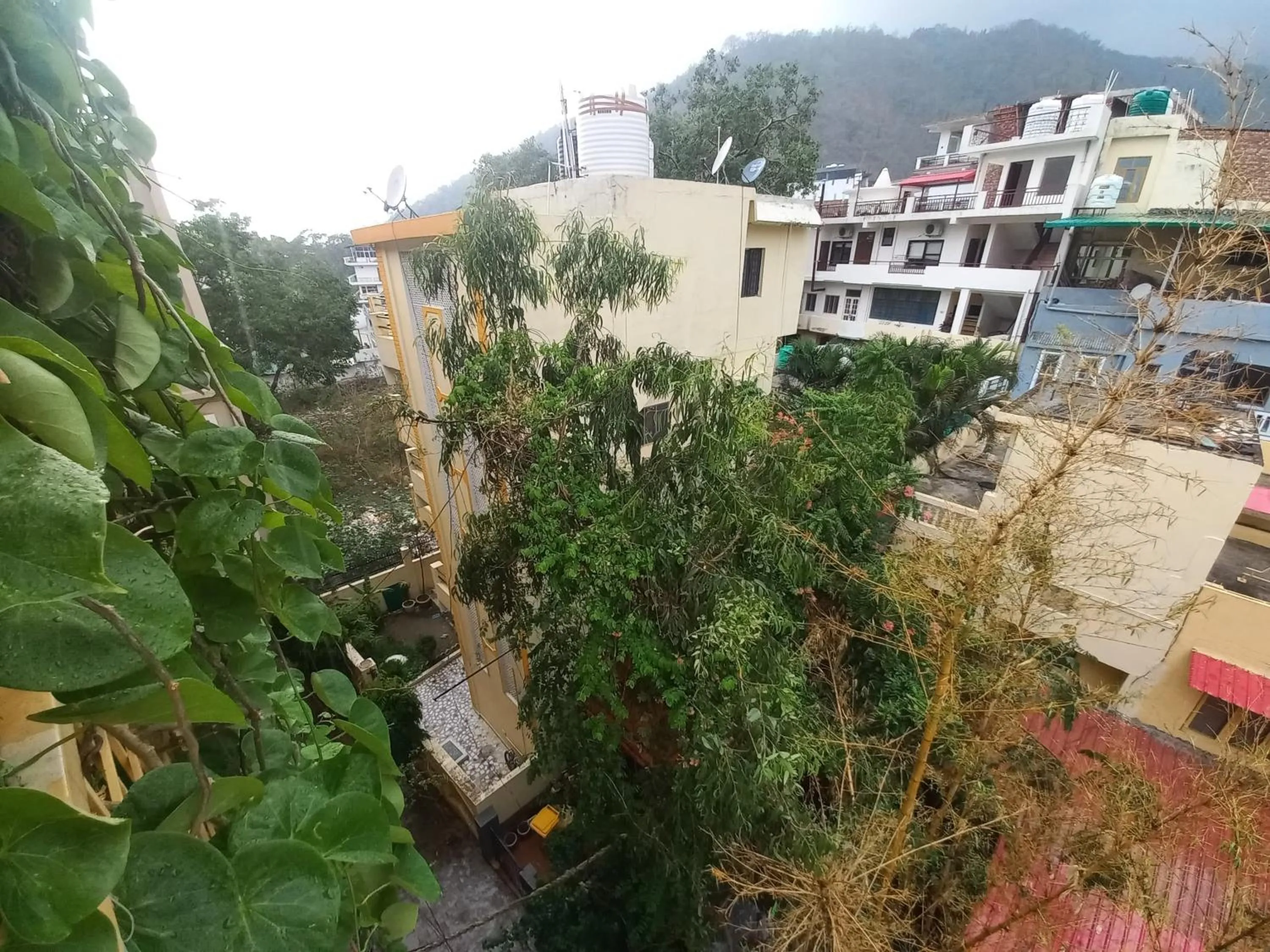 Natural landscape in Devi music ashram