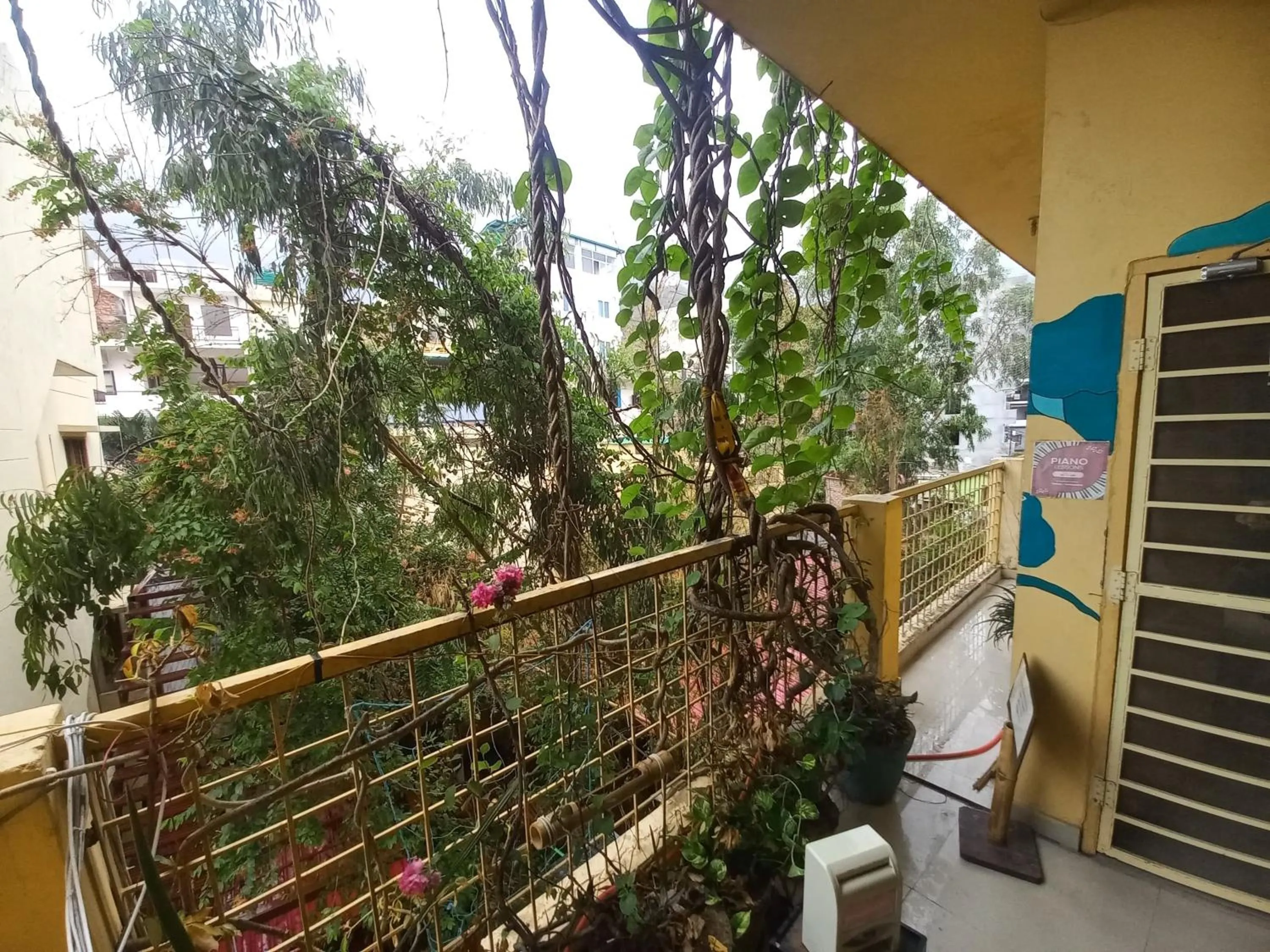 Garden in Devi music ashram