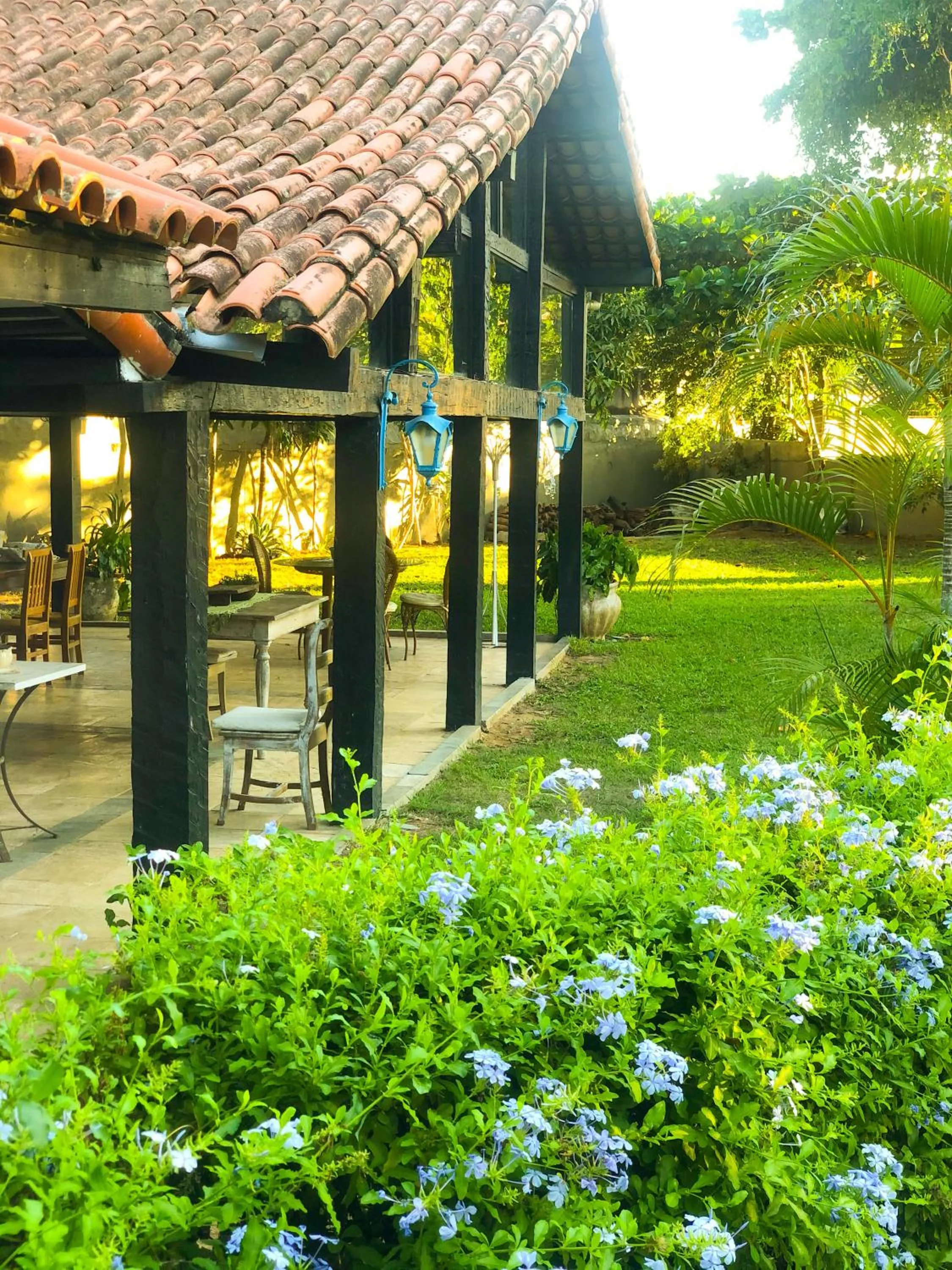 Garden in Peixe Crew Manguinhos