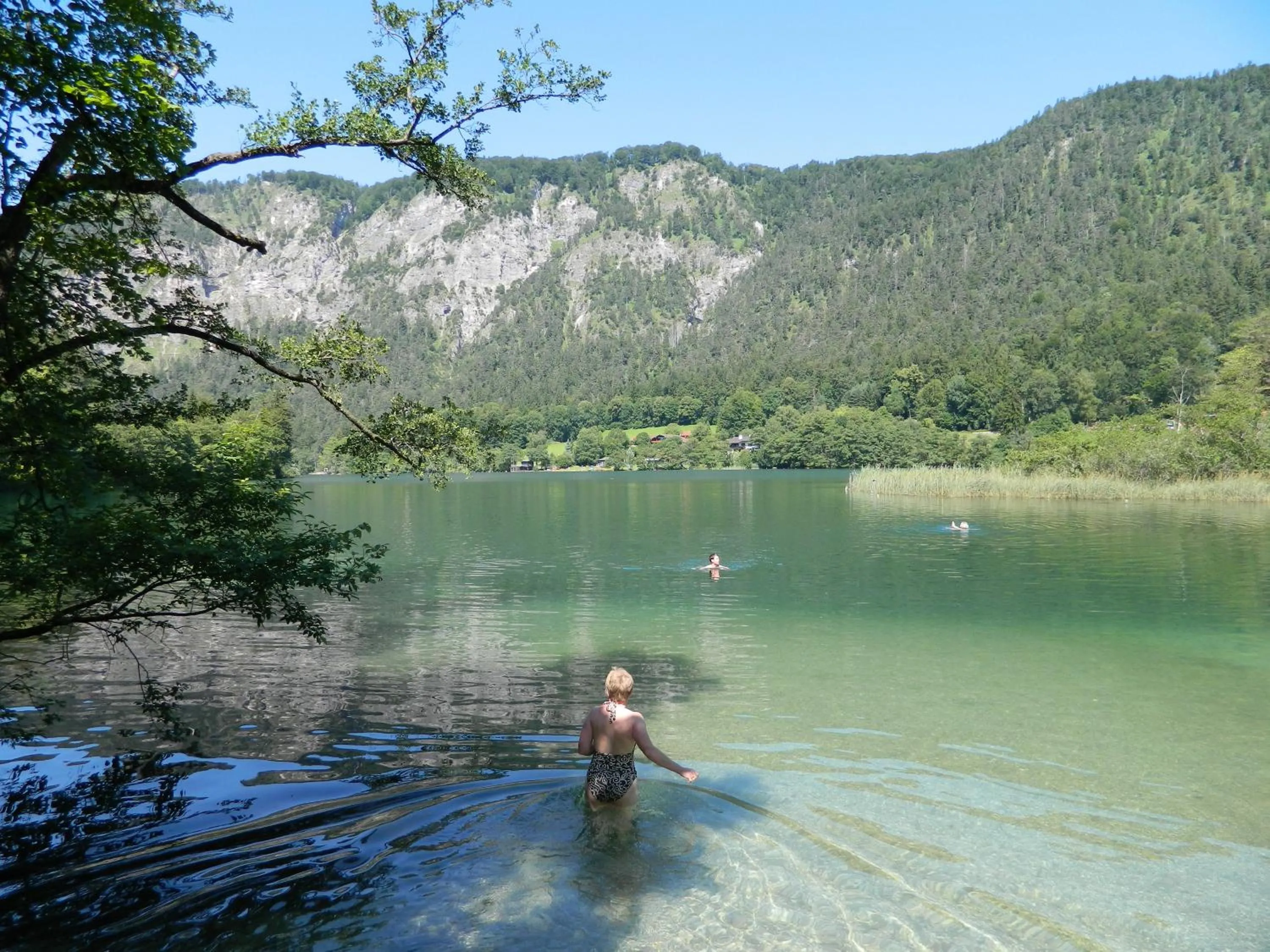 Natural landscape in Hotel Garni Haus Alpine - Chiemgau Karte inkl