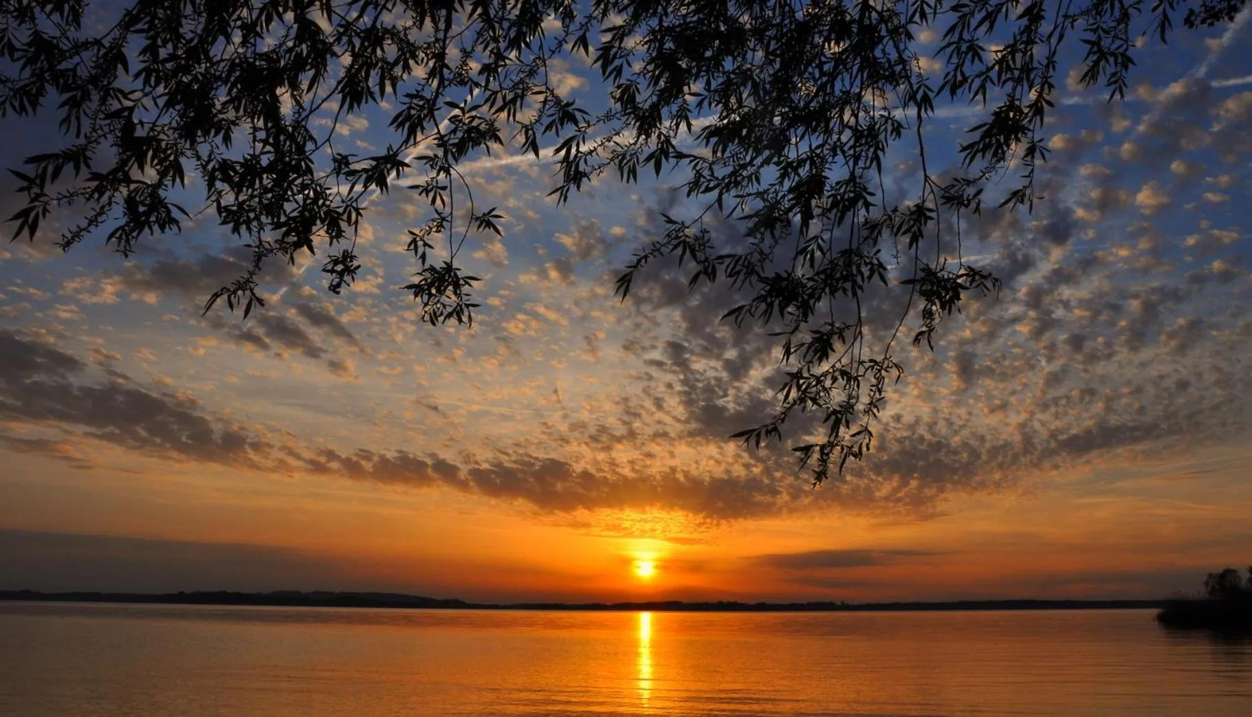 Natural landscape in Berghotel & Chalets Adersberg Chiemgau Card kostenfrei