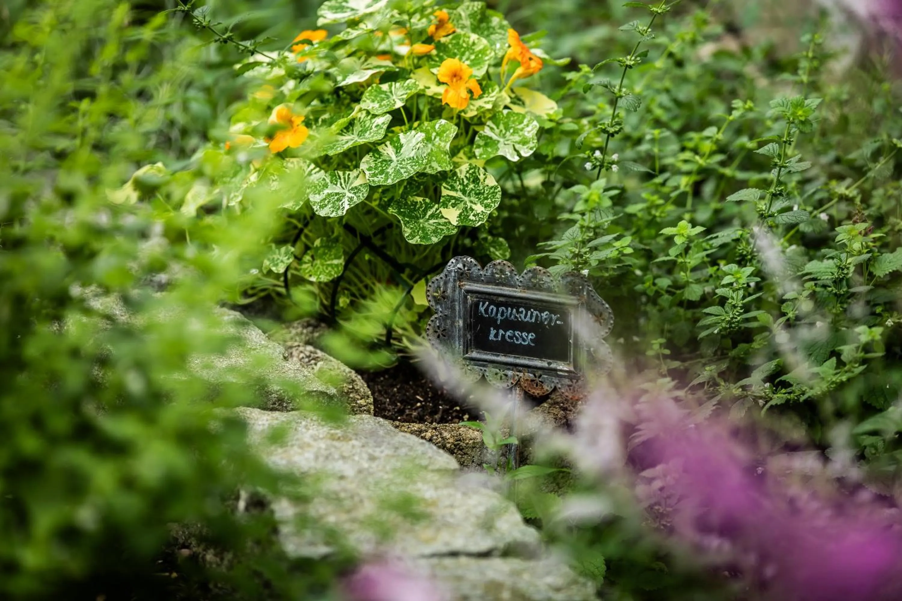 Garden in Wunsch Hotel Mürz - Natural Health & Spa Hotel