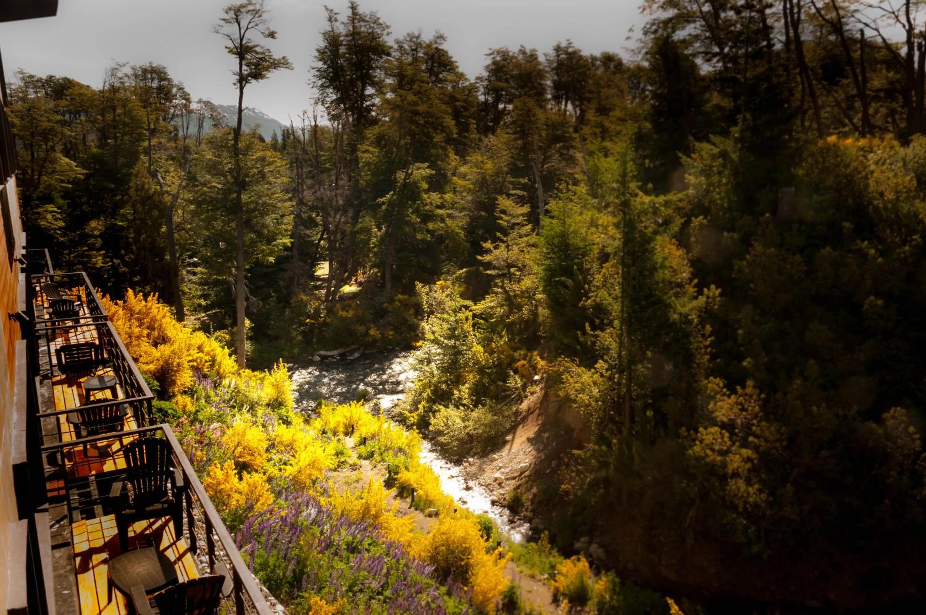 Property building in Las Aguas Río Bonito