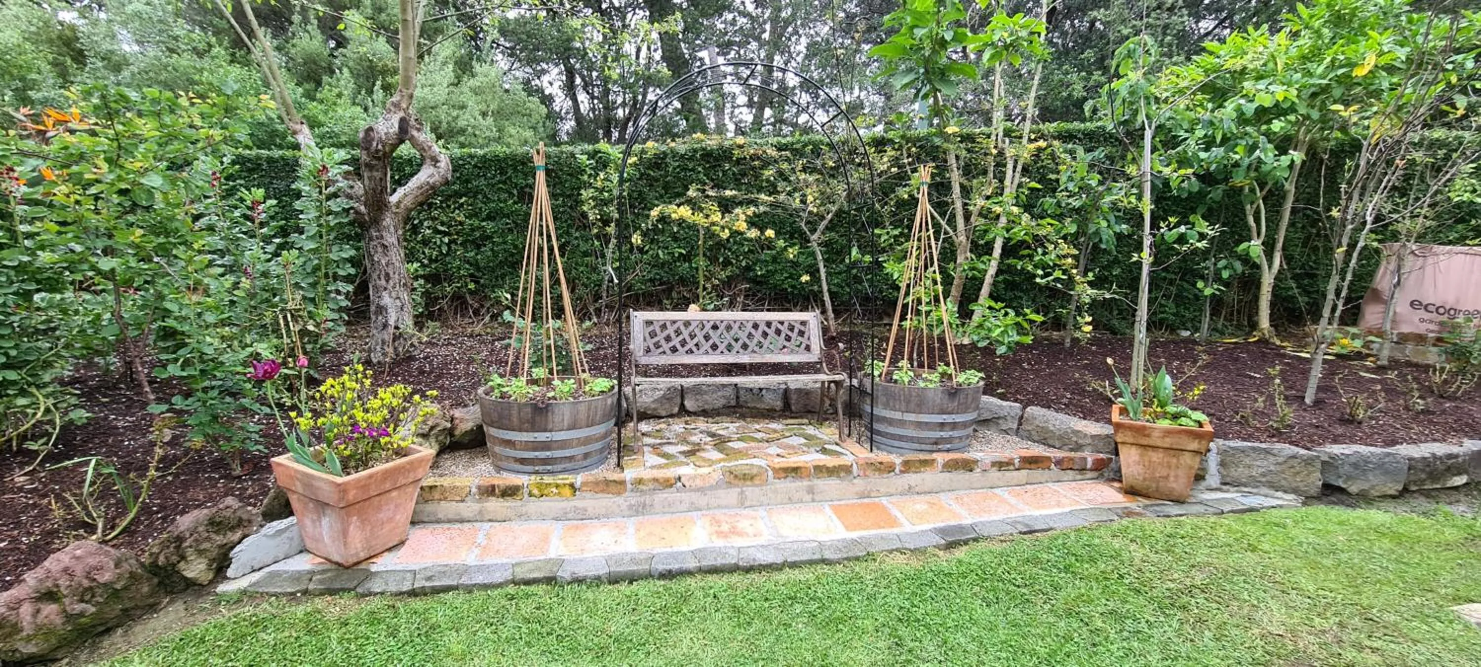 Garden in Dovecote House