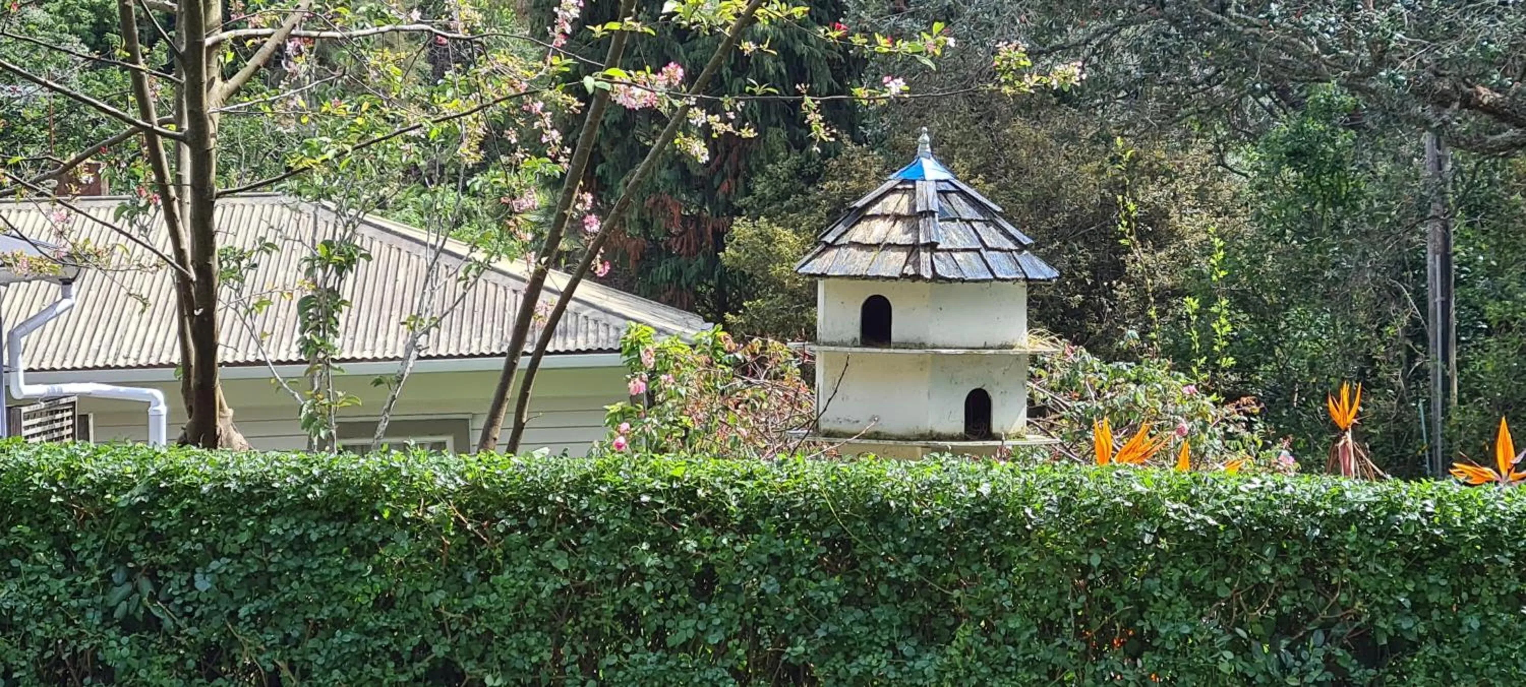 Garden in Dovecote House