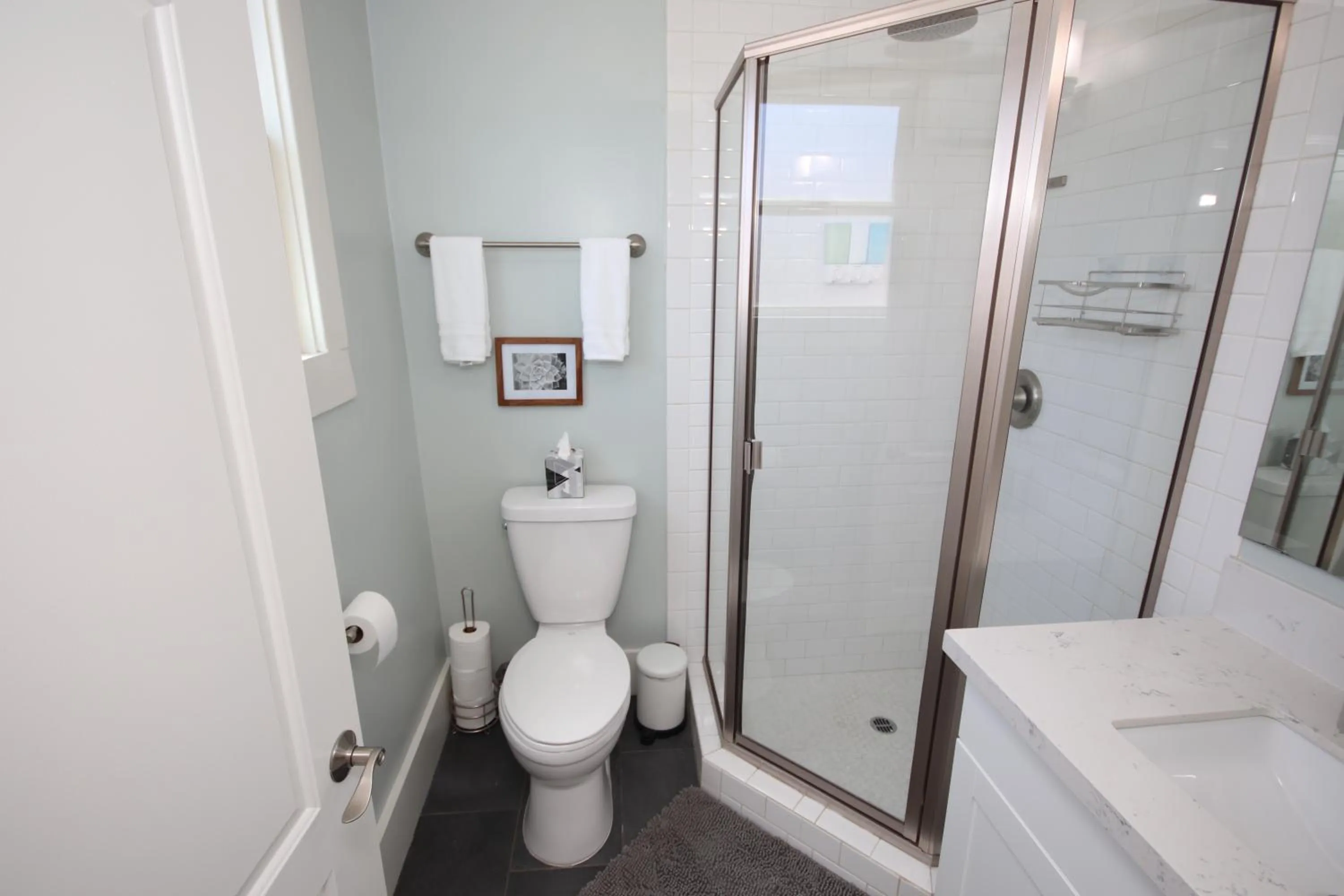 Shower in Fern House South Park Craftsman