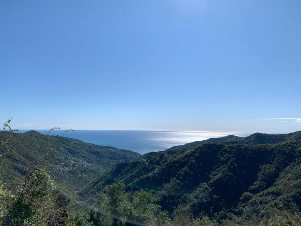 View (from property/room) in Looky Hotel