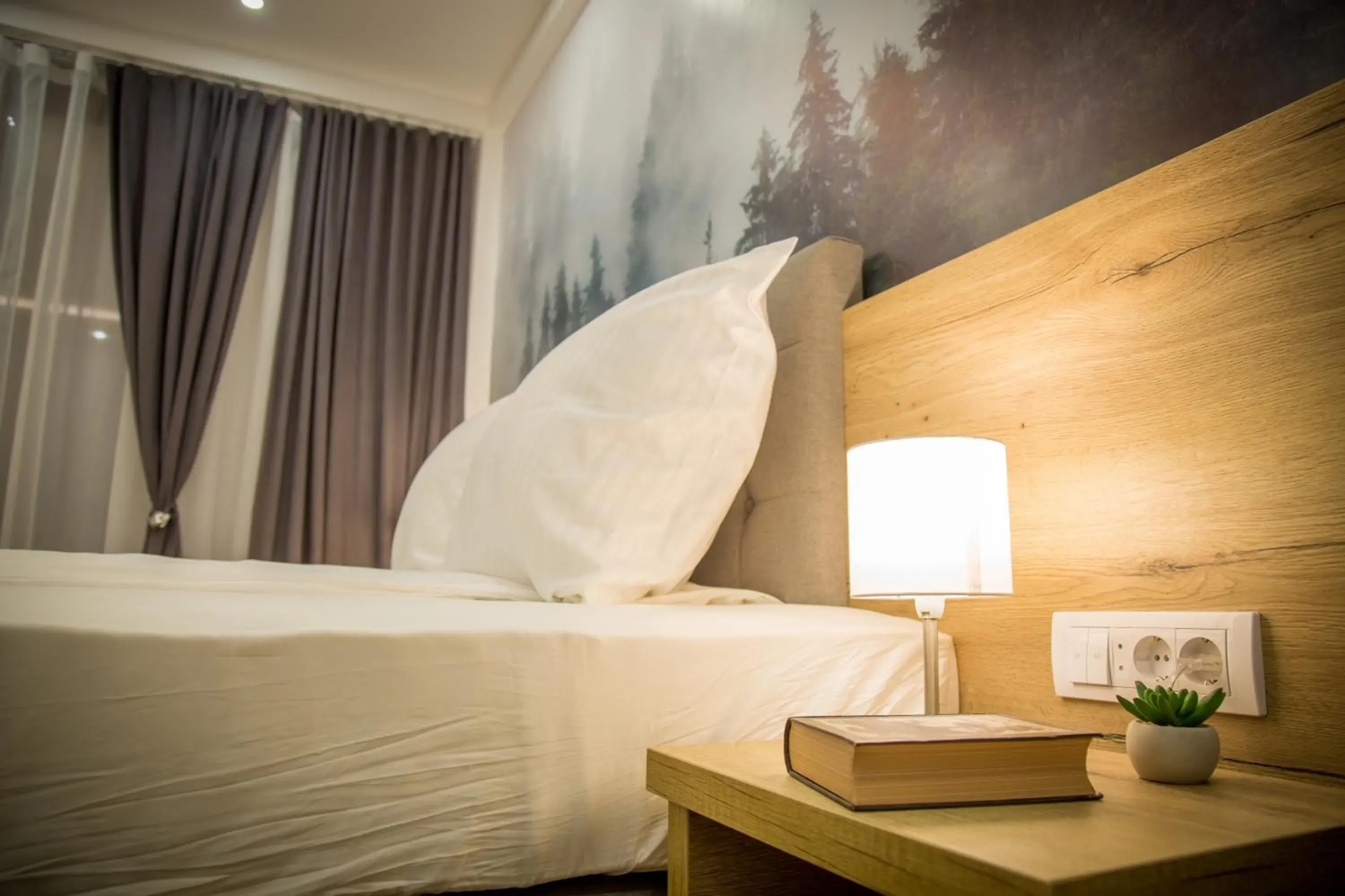 Deluxe Double Room with Free Spa Access in SREBRNA PLANINA Spa & Resort Deluxe Double Room with Free Spa Access in SREBRNA PLANINA Spa & Resort