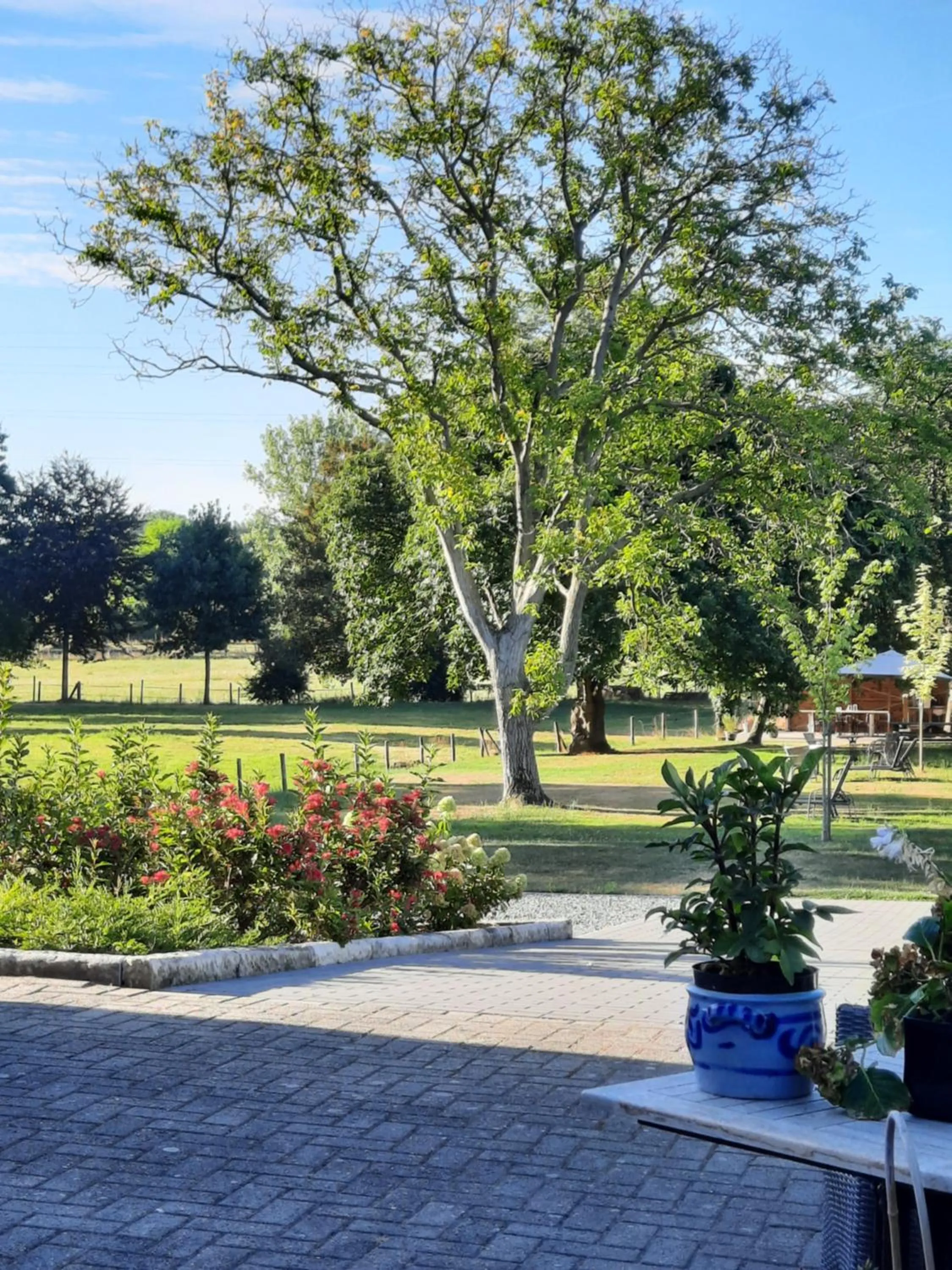 Garden in B&B Gellick