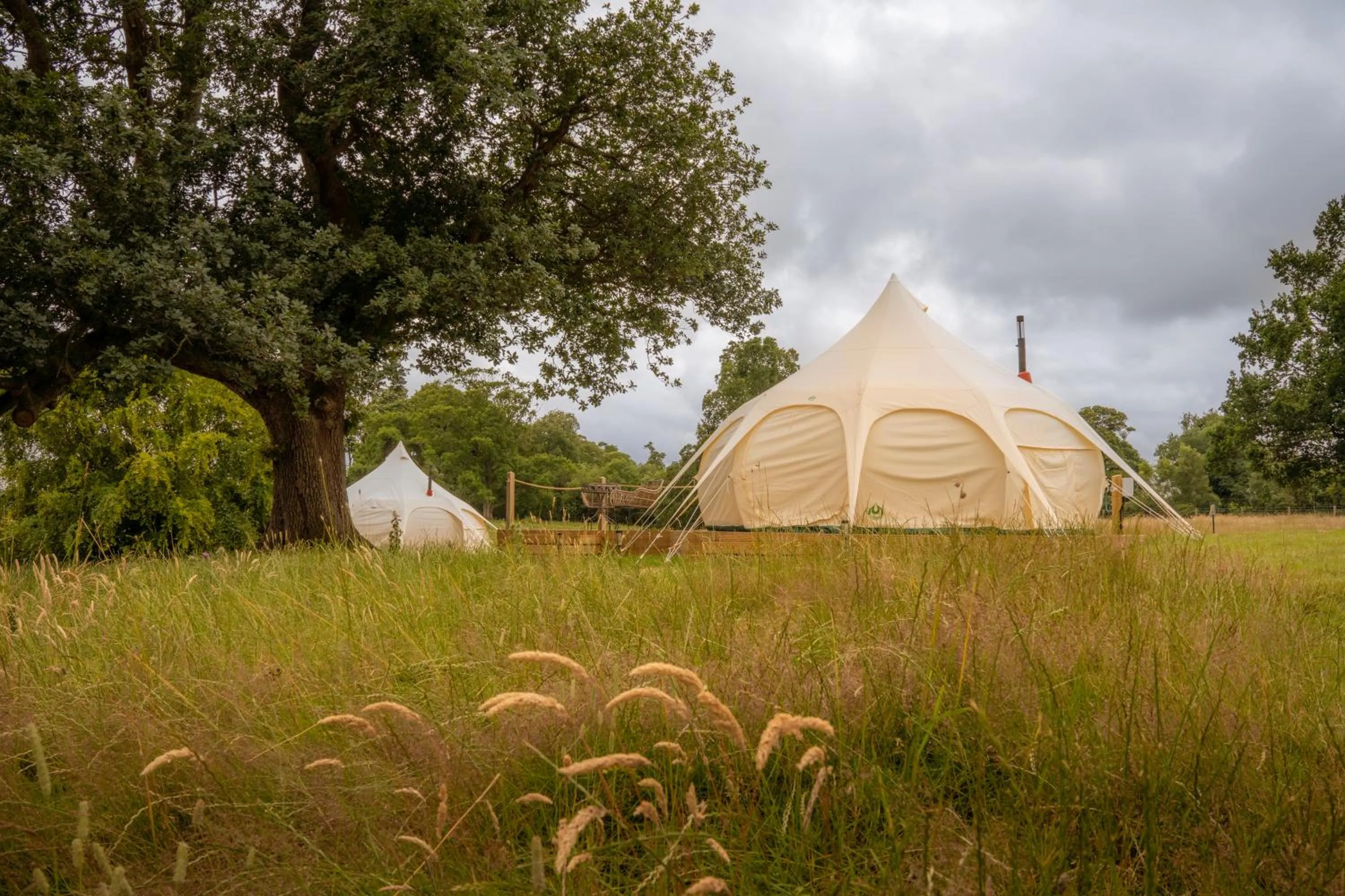 Natural landscape in The Tempus at Charlton Hall Estate