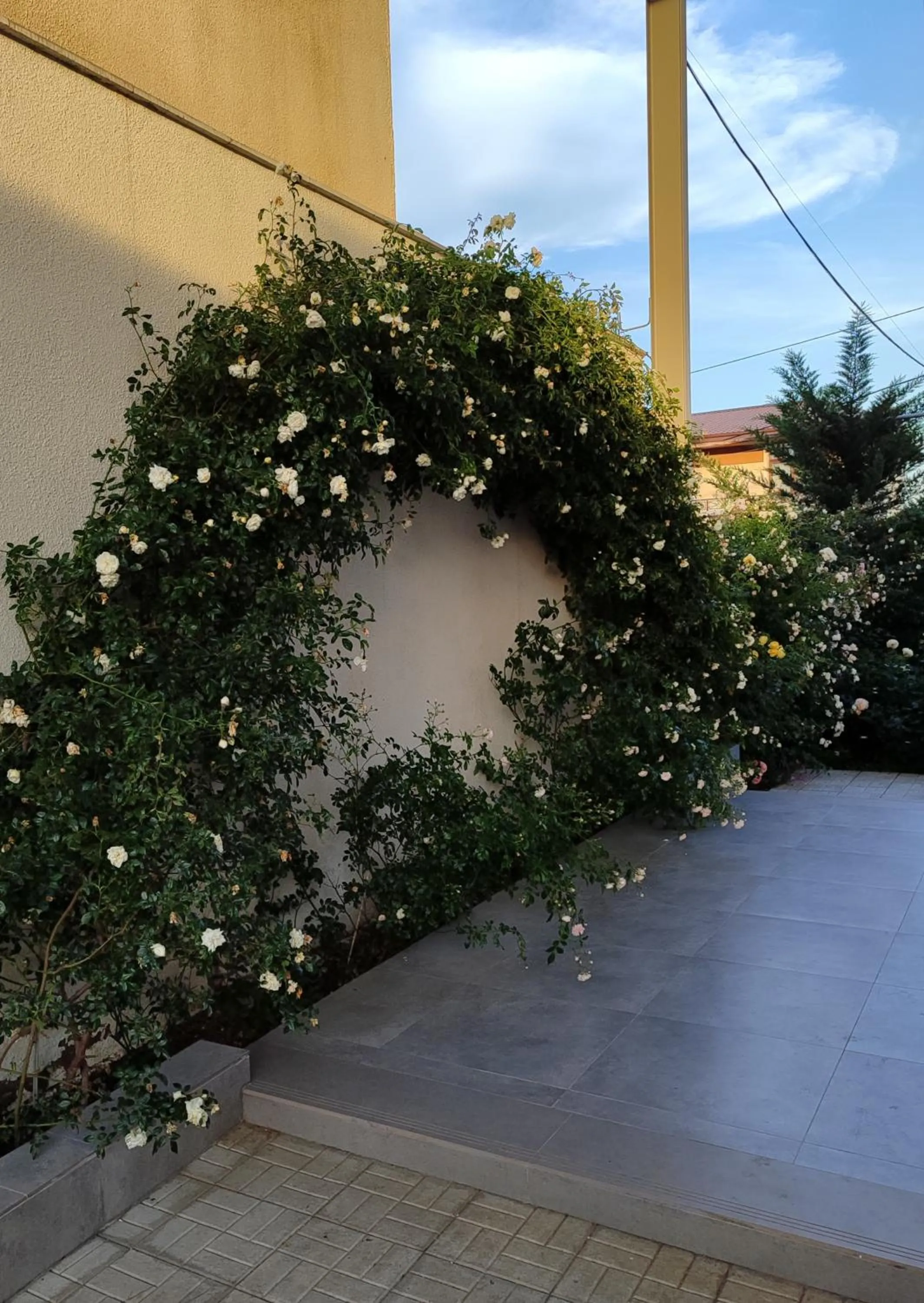 Spring in Veronika Home Tbilisi