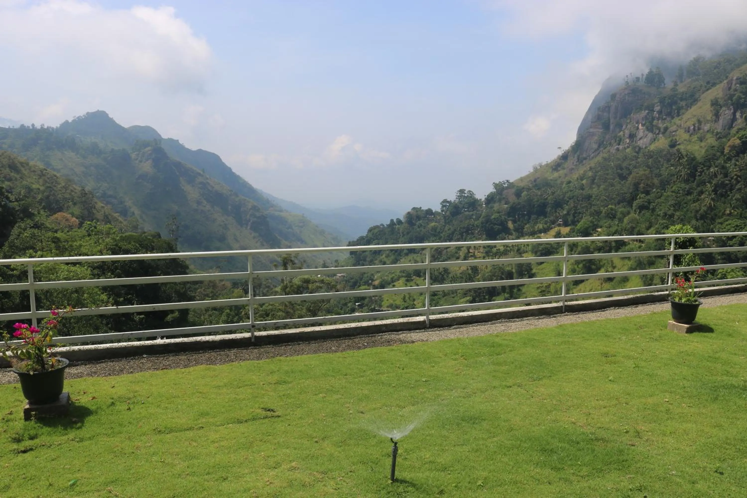 Garden in Hotel Ella`s Edge