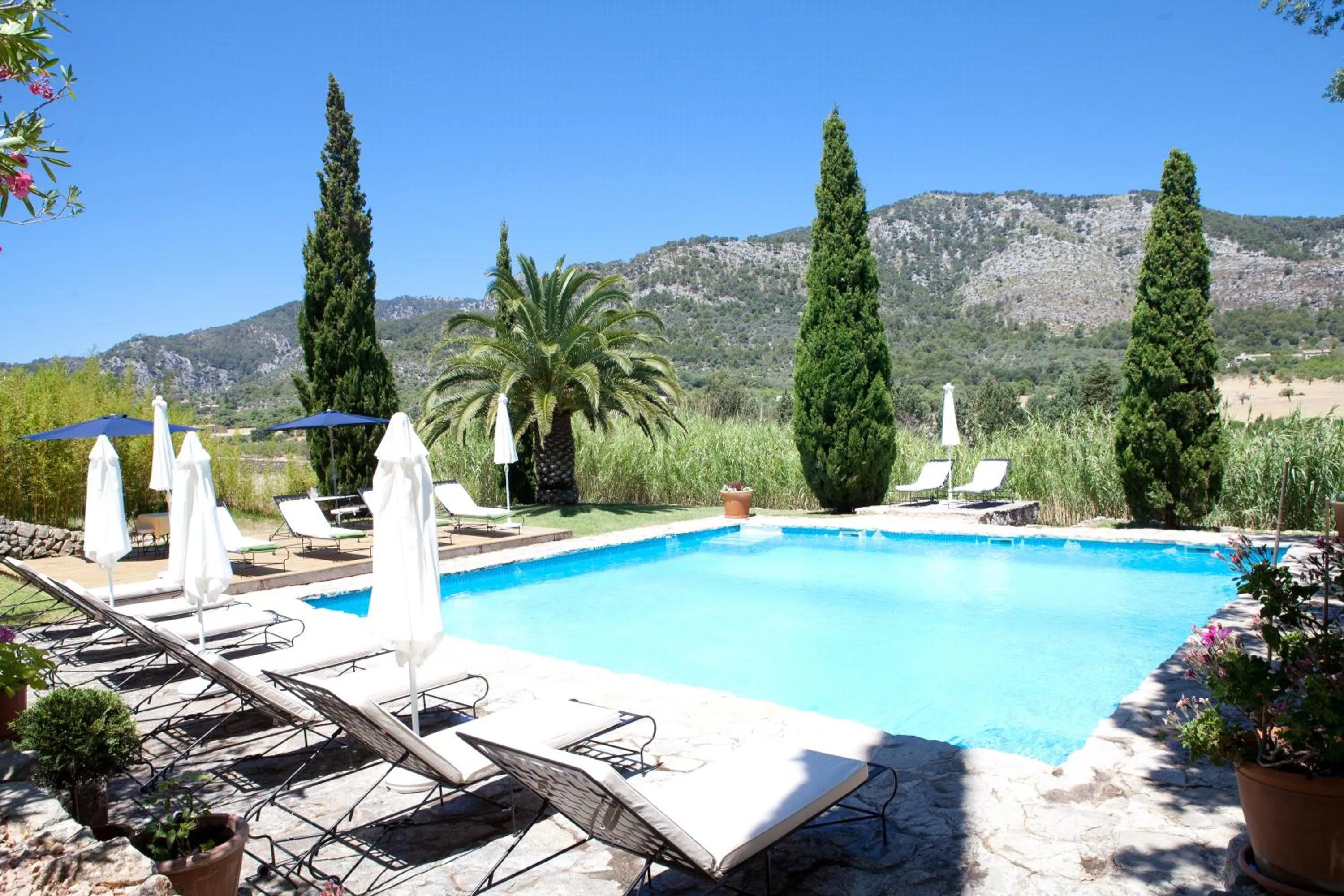 Swimming pool in Finca Son Ametler