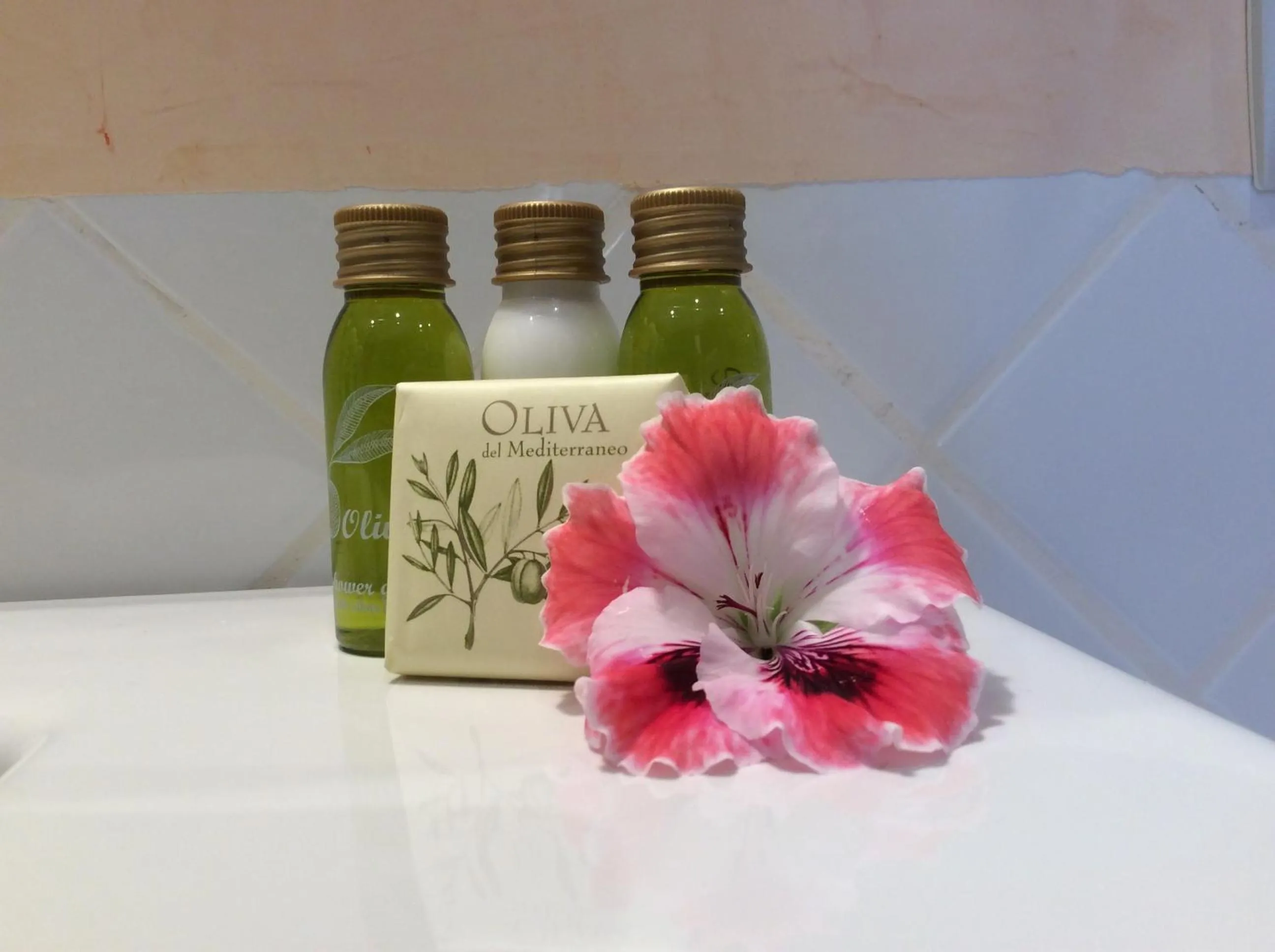 Other in Finca Son Ametler