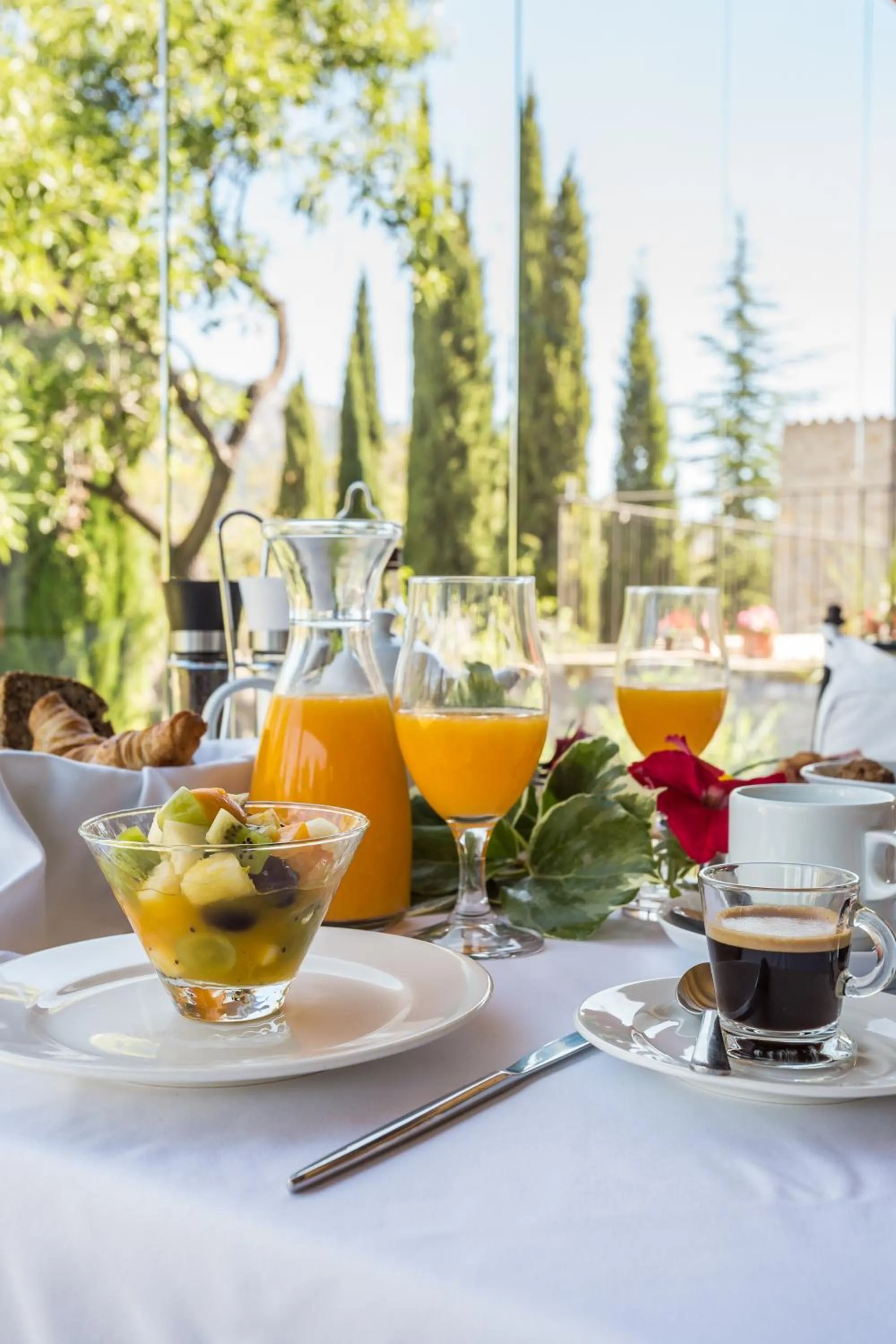 Food close-up in Finca Son Ametler