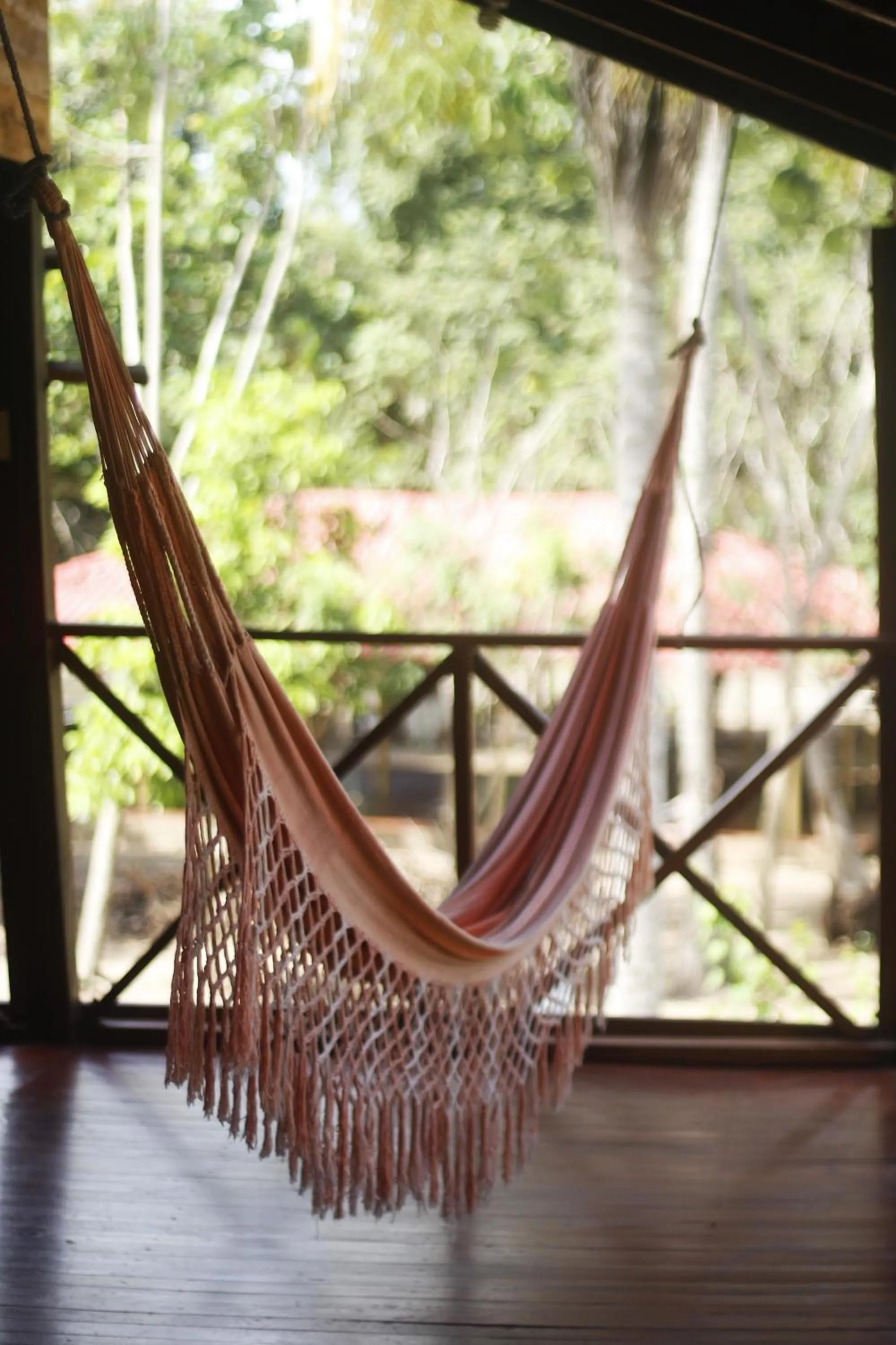 Balcony/Terrace in Praba Hostel