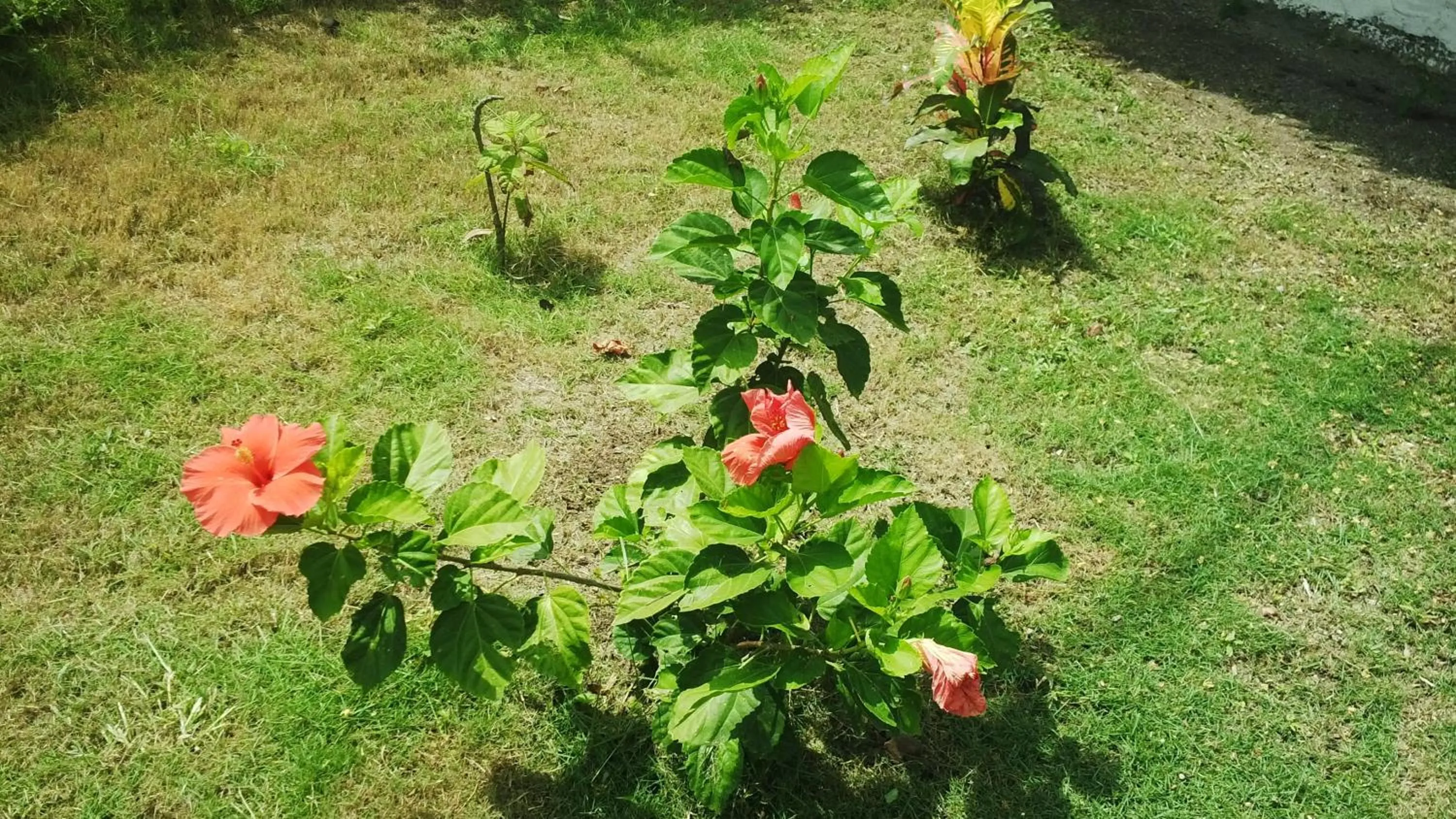 Off site in Praba Hostel