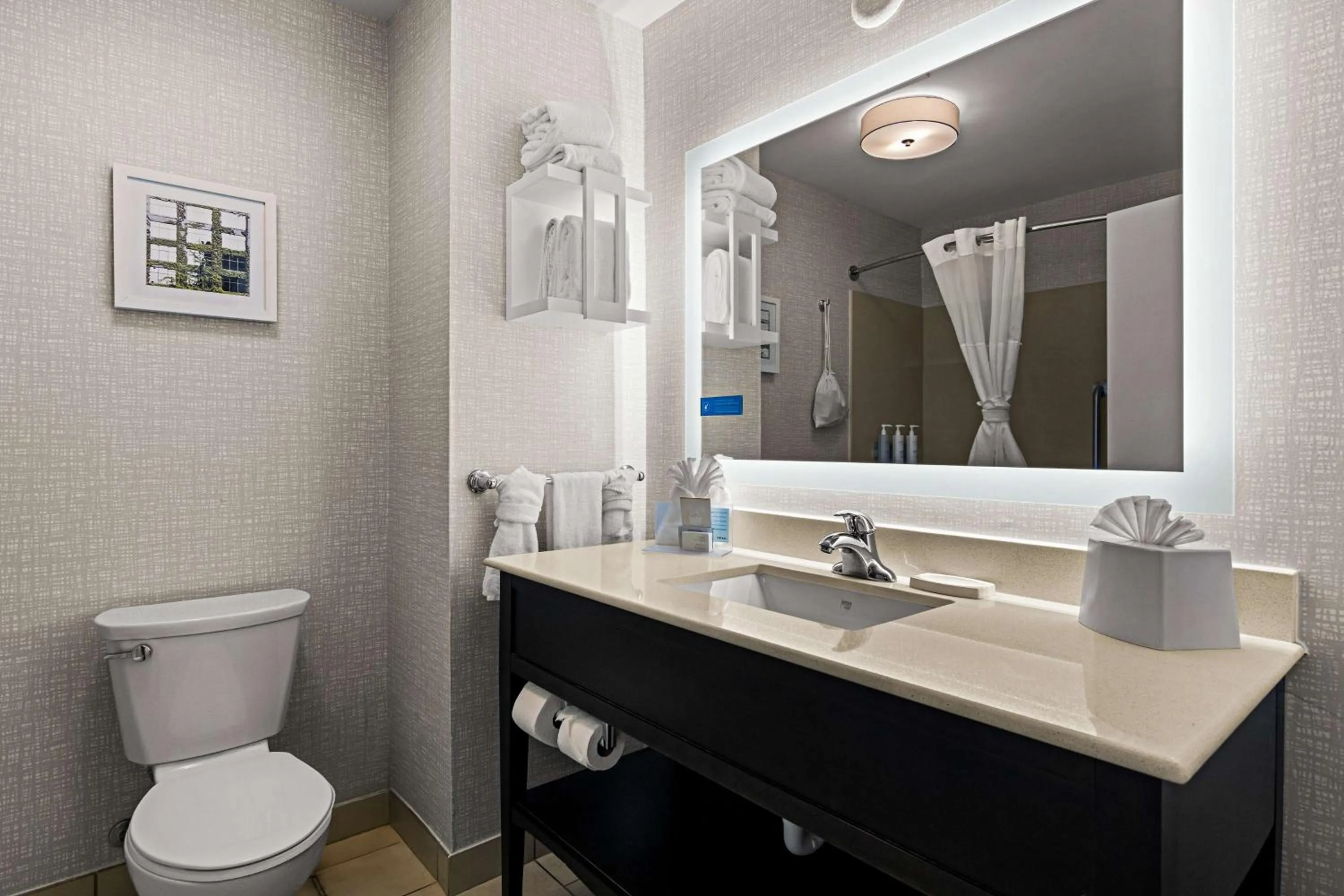 Bathroom in Hampton Inn & Suites Schererville