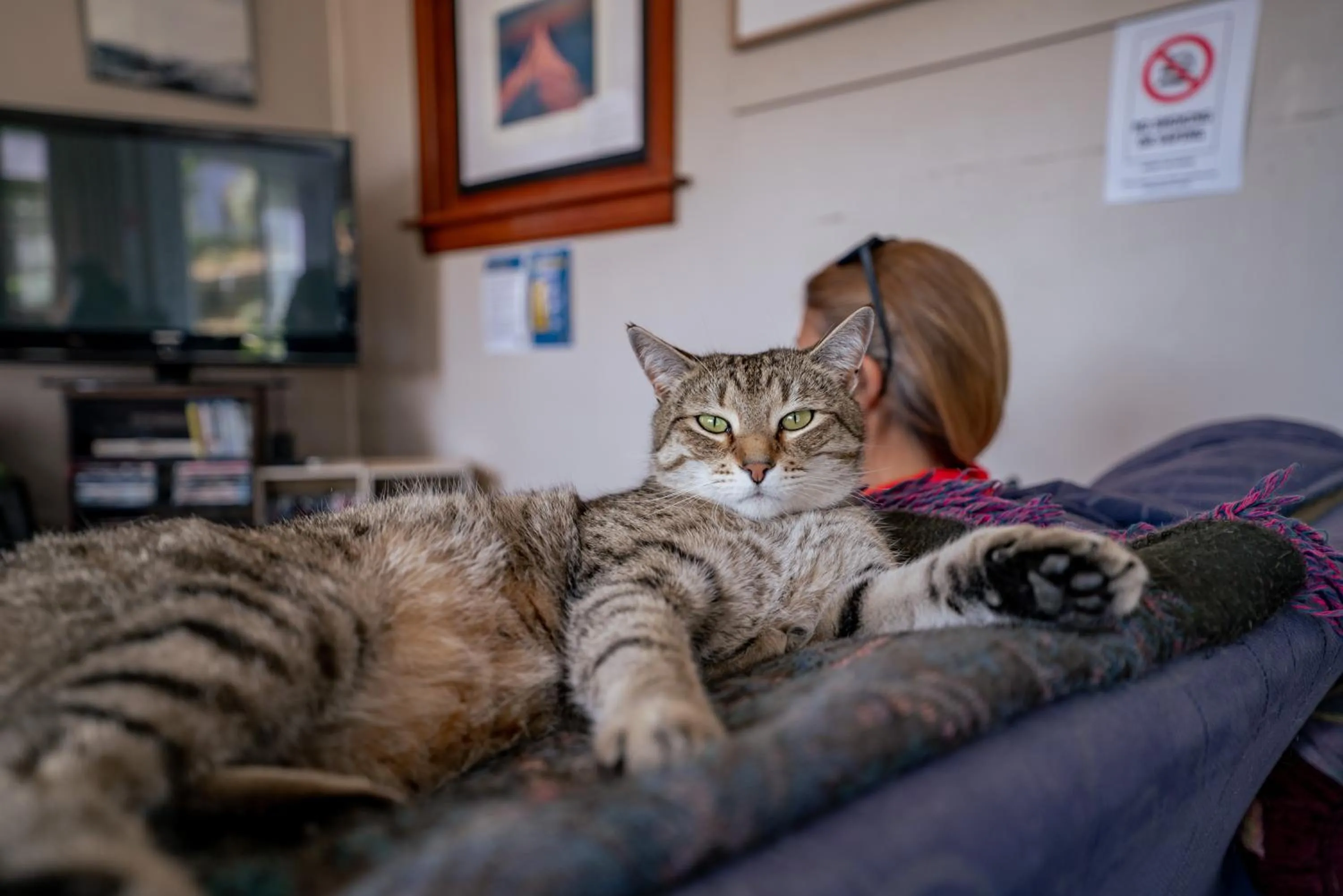 Pets in Mountain View Backpackers