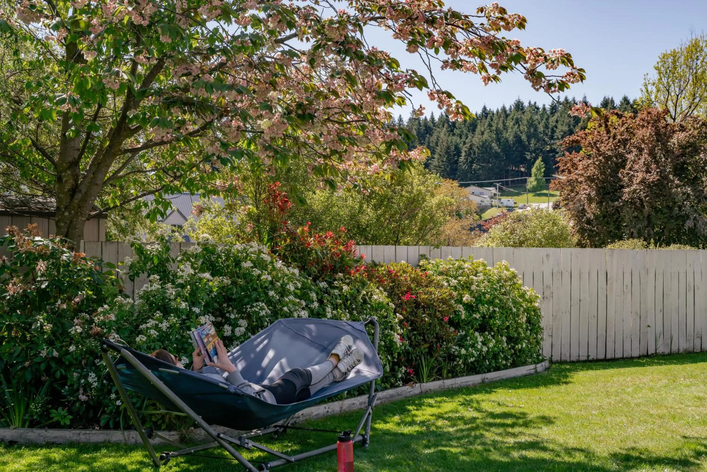 Spring in Mountain View Backpackers