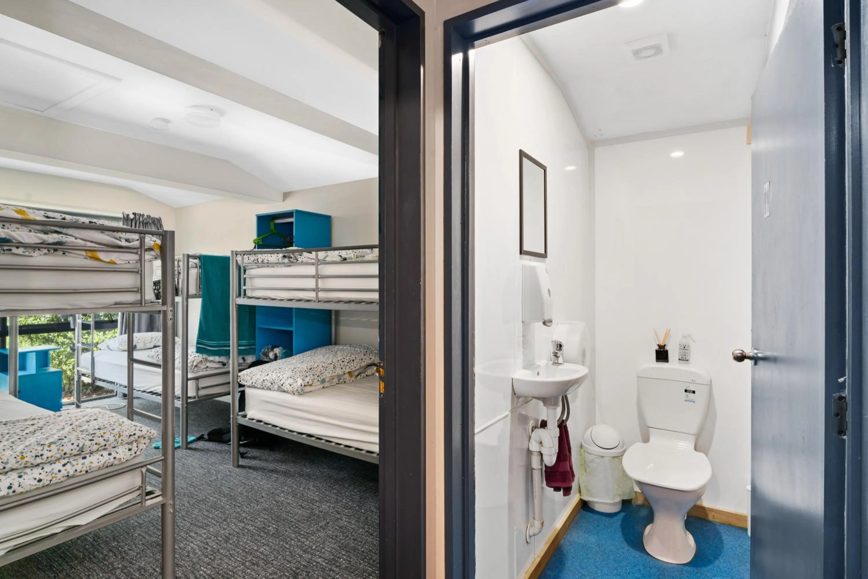 Toilet, Bed in Mountain View Backpackers
