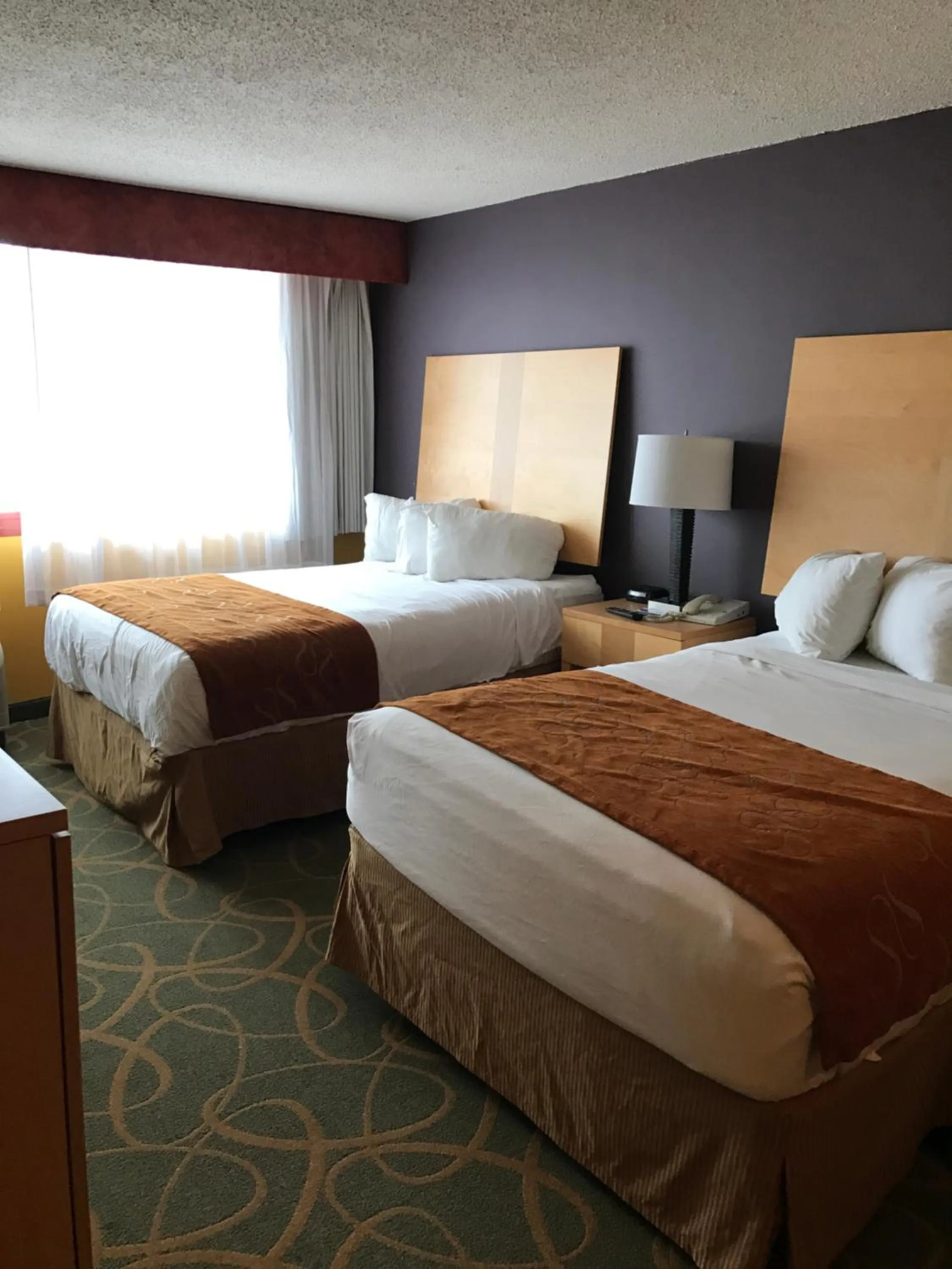 Photo of the whole room in Trip Hotel Ithaca