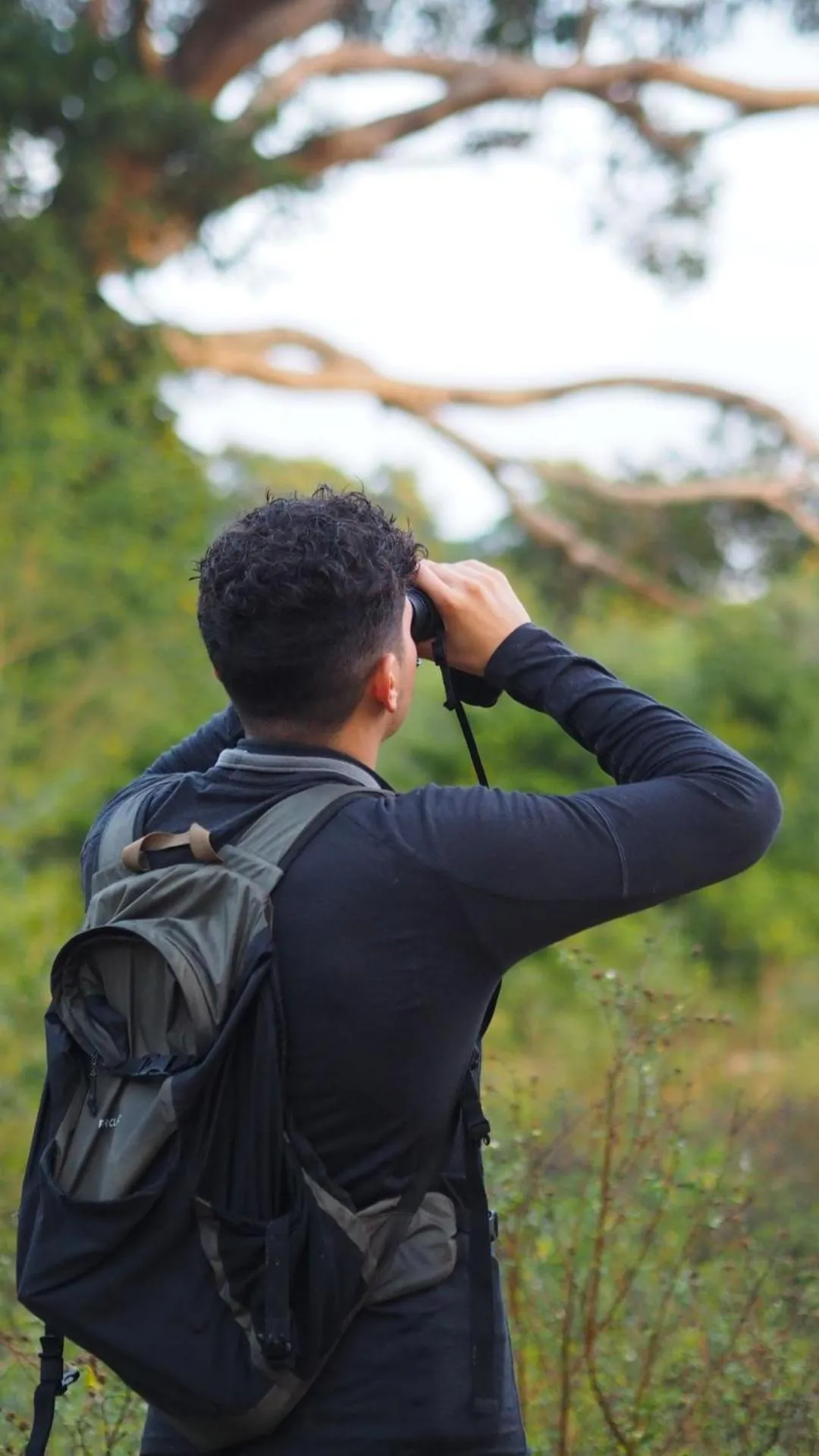 Natural landscape in Aite Eco Resort