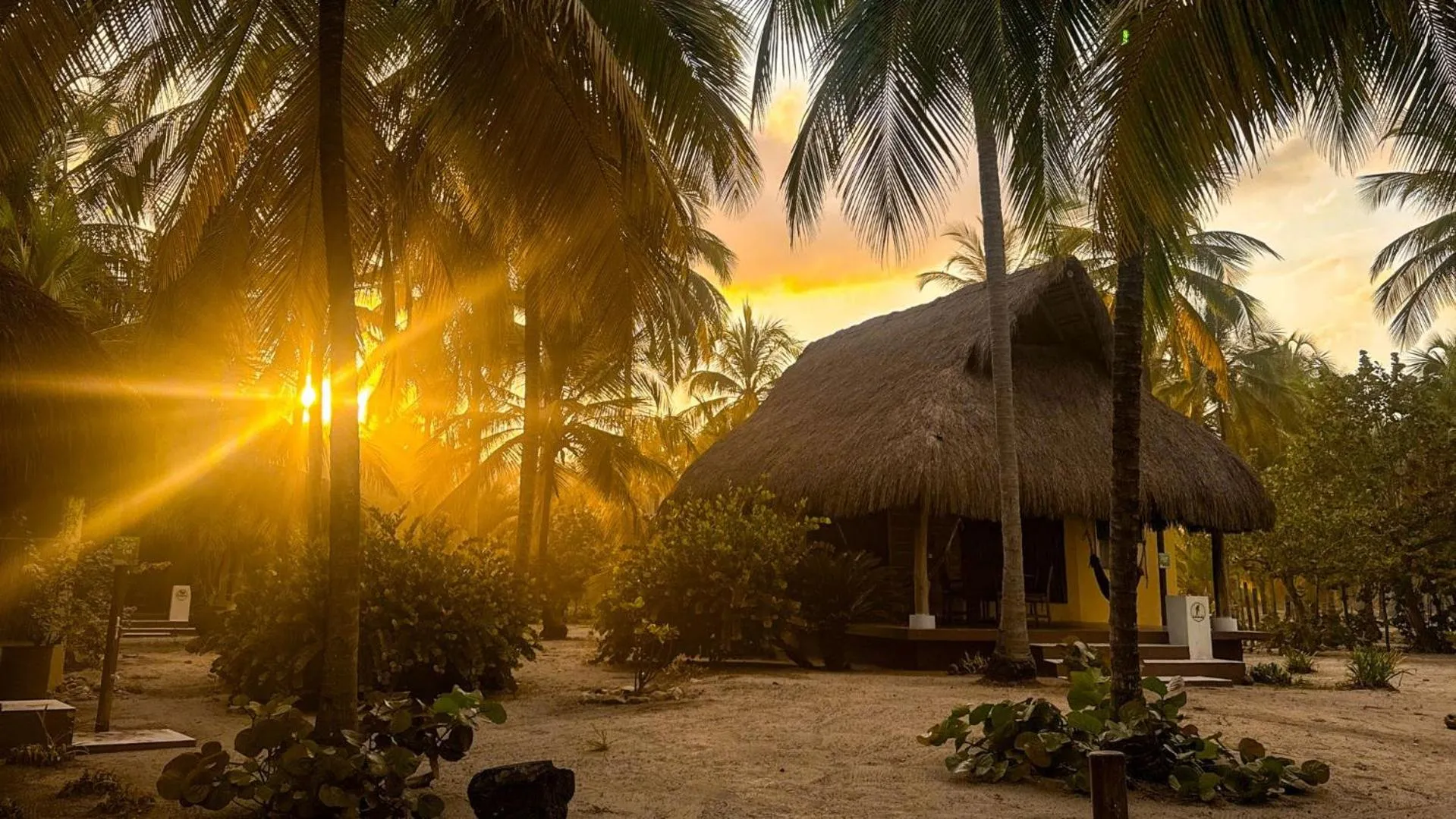 Natural landscape in Aite Eco Resort