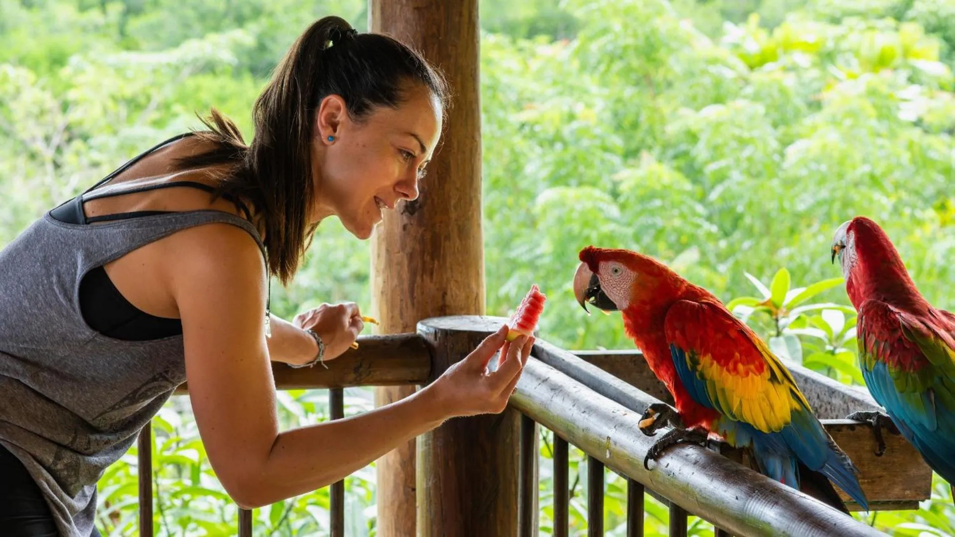 Animals in Aite Eco Resort