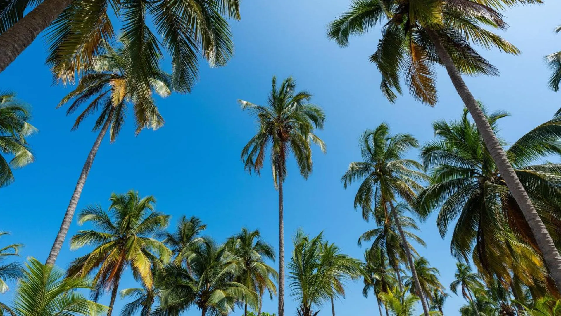 Natural landscape in Aite Eco Resort