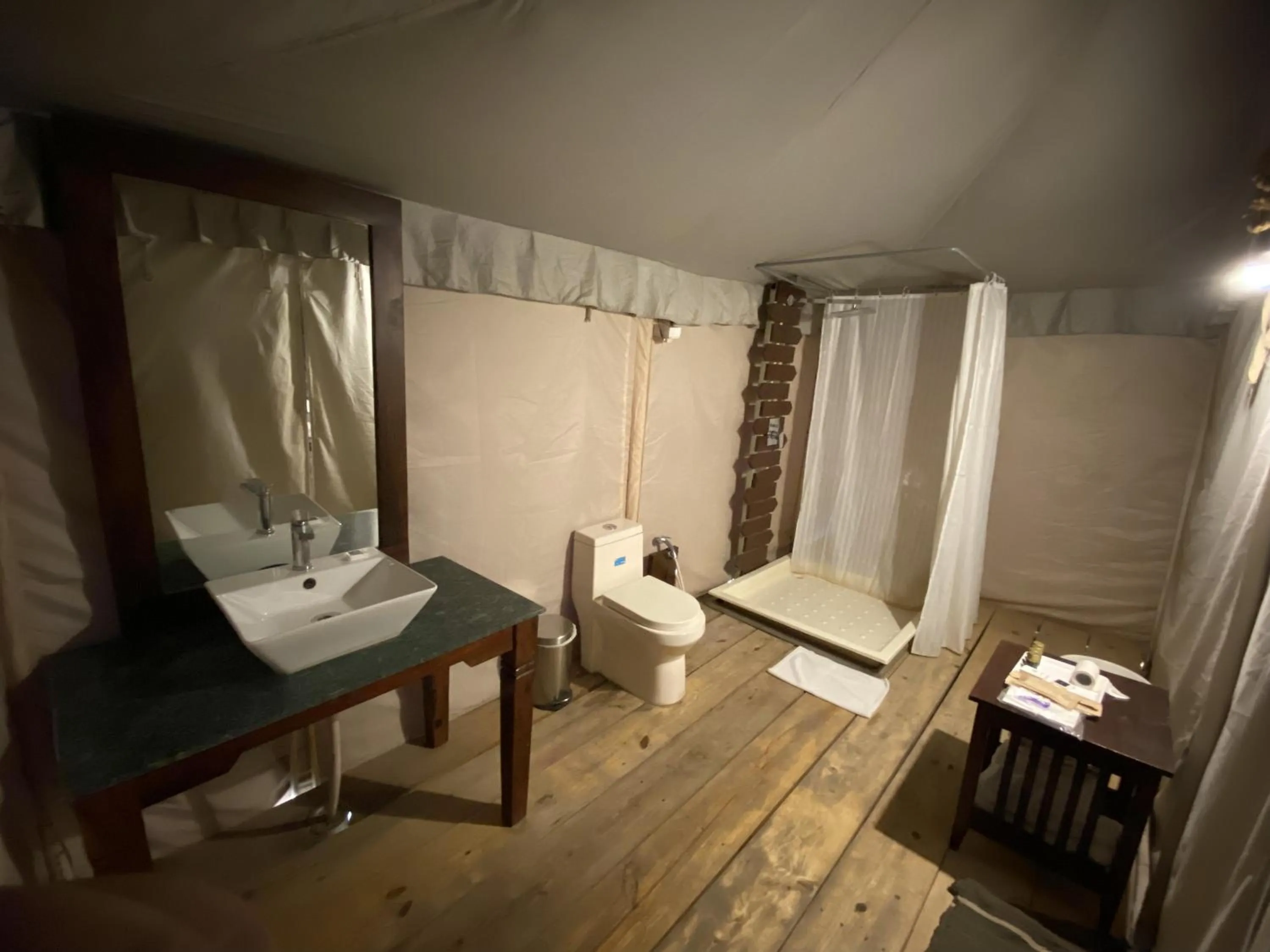 Toilet in Om Vilas Benares, Varanasi