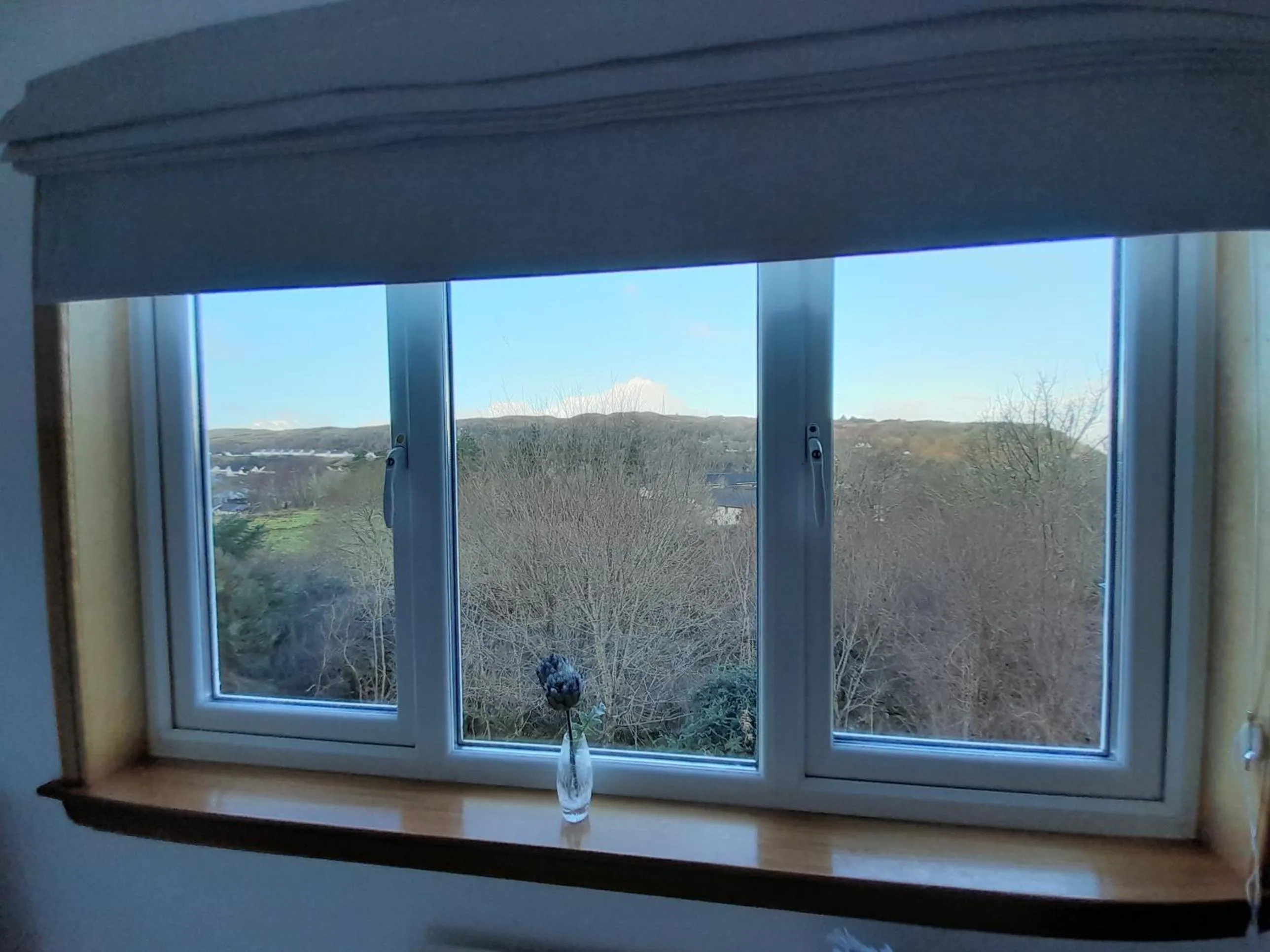 Single Room with Private External Bathroom - single occupancy in Elderslie Guest House
