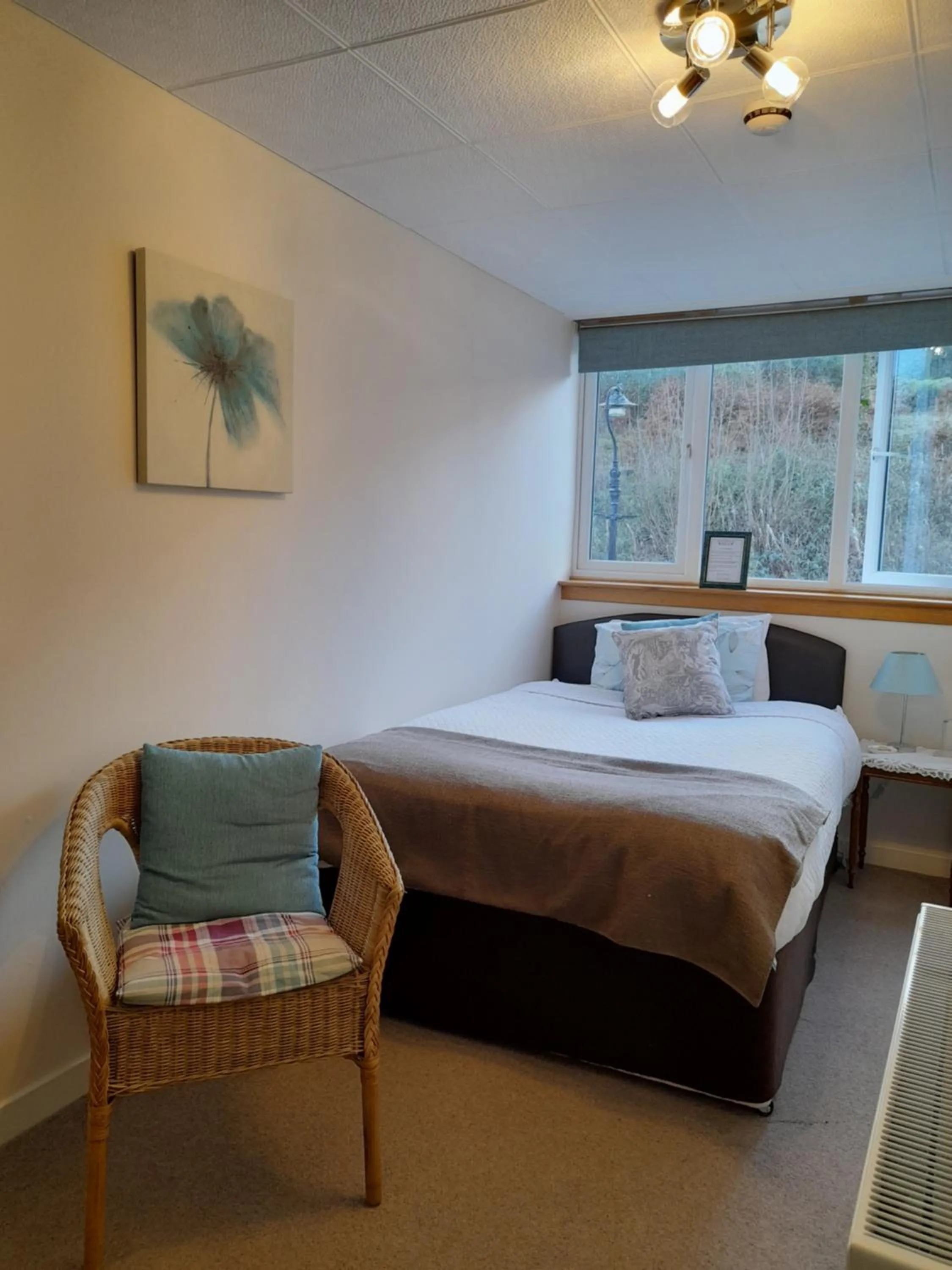 Superior Single Room - single occupancy in Elderslie Guest House