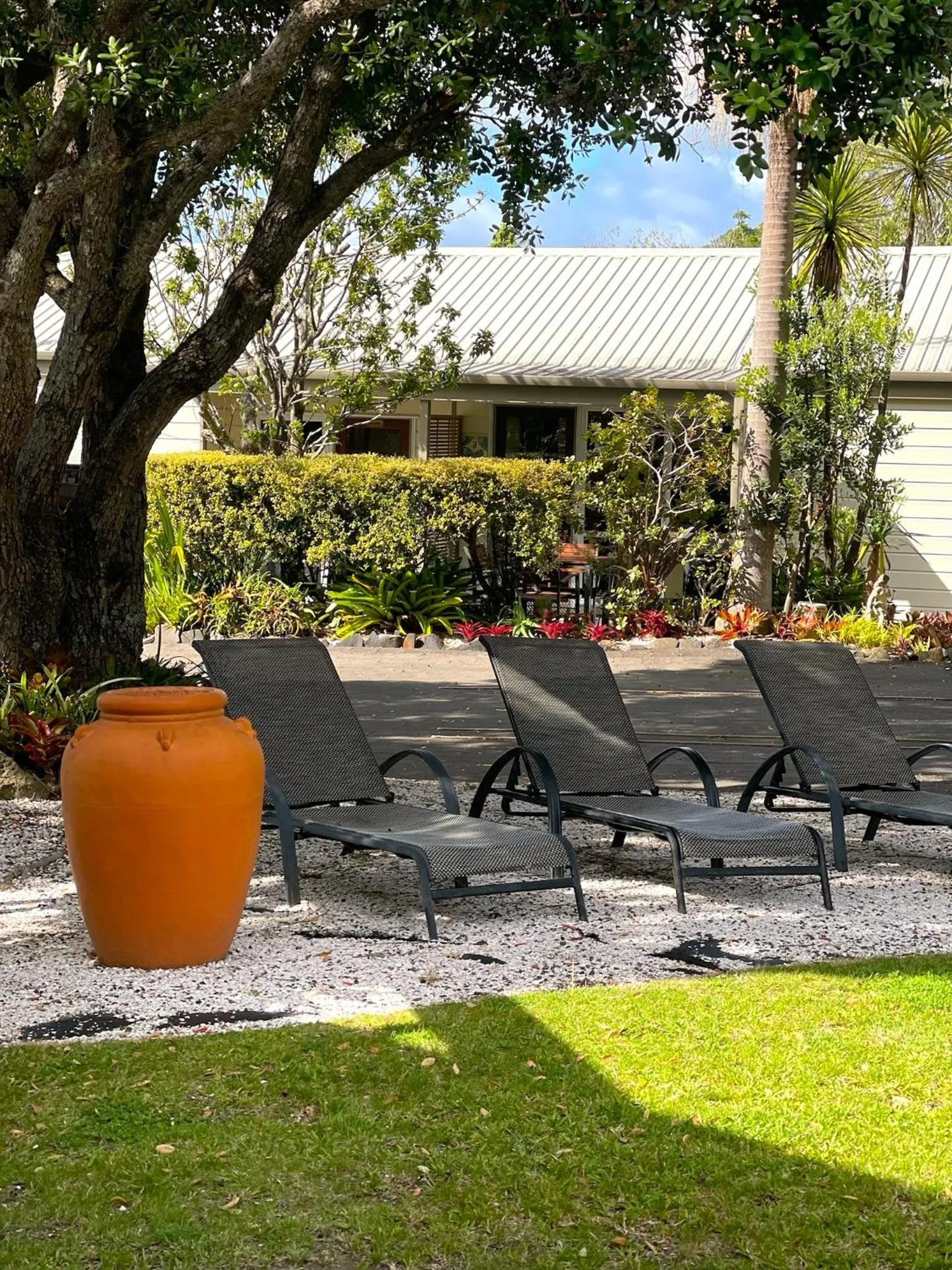 Garden in Tatahi Lodge Beach Resort