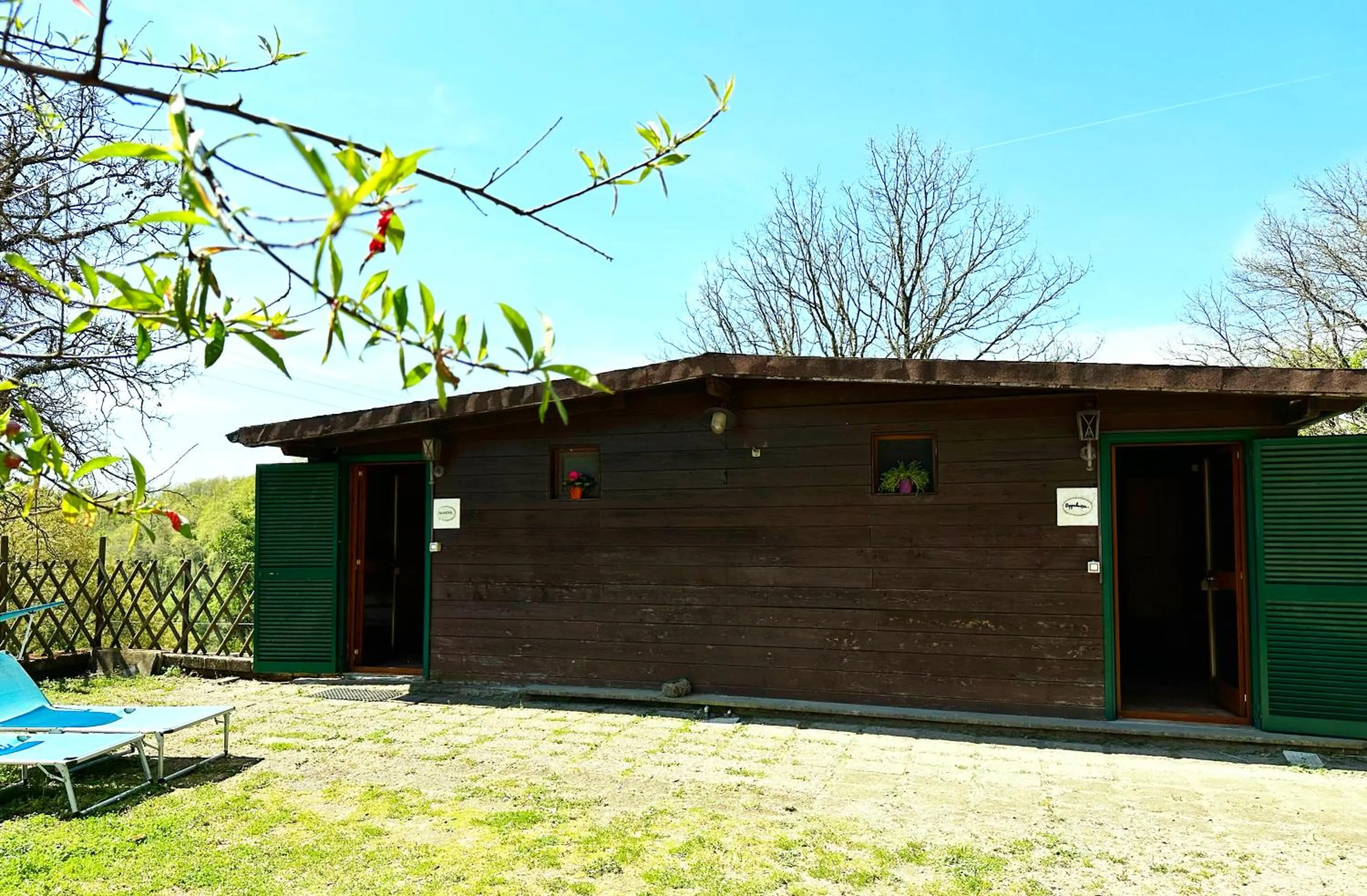 Night in the Wood Sorbo