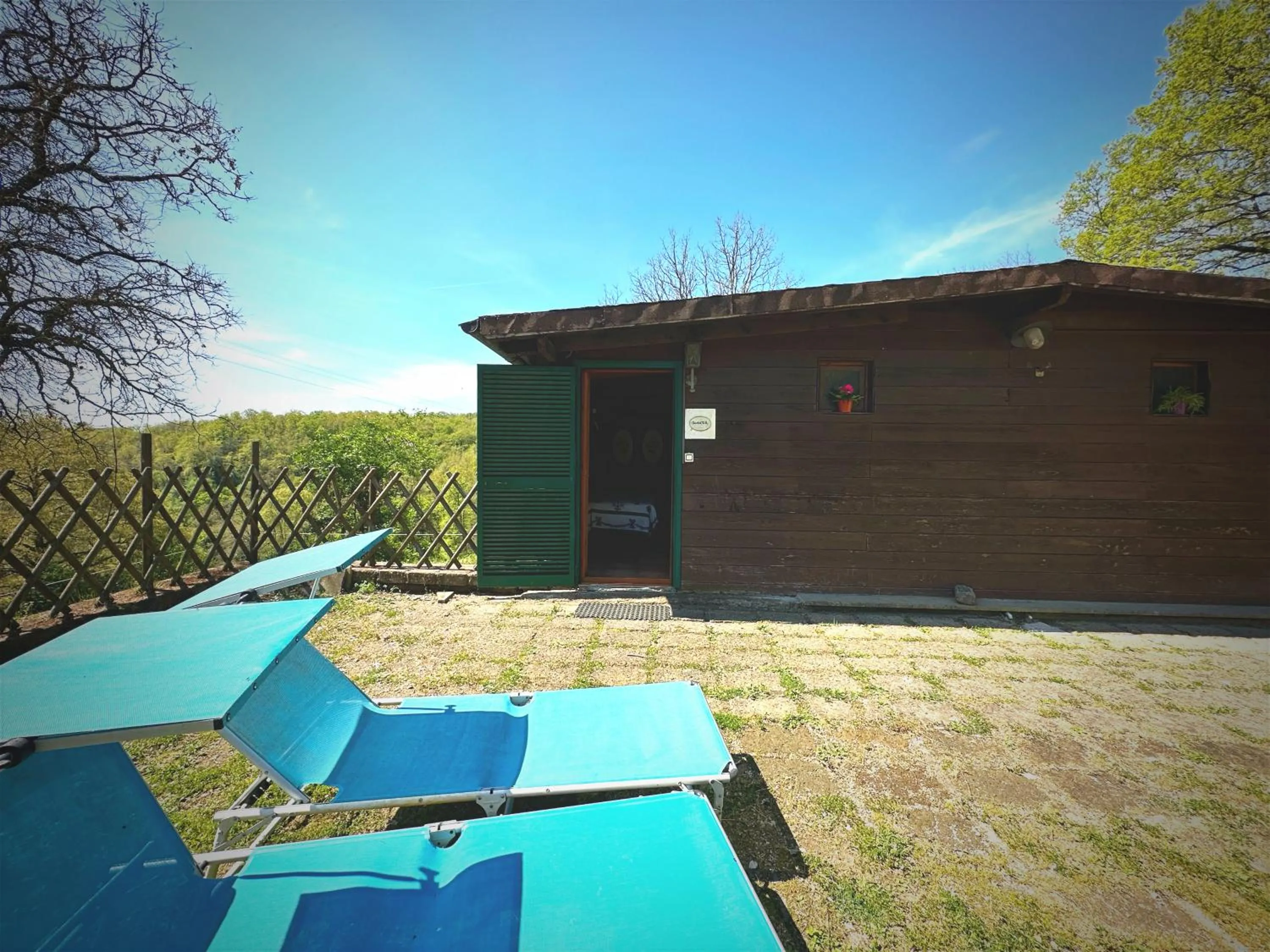 Night in the Wood Sorbo