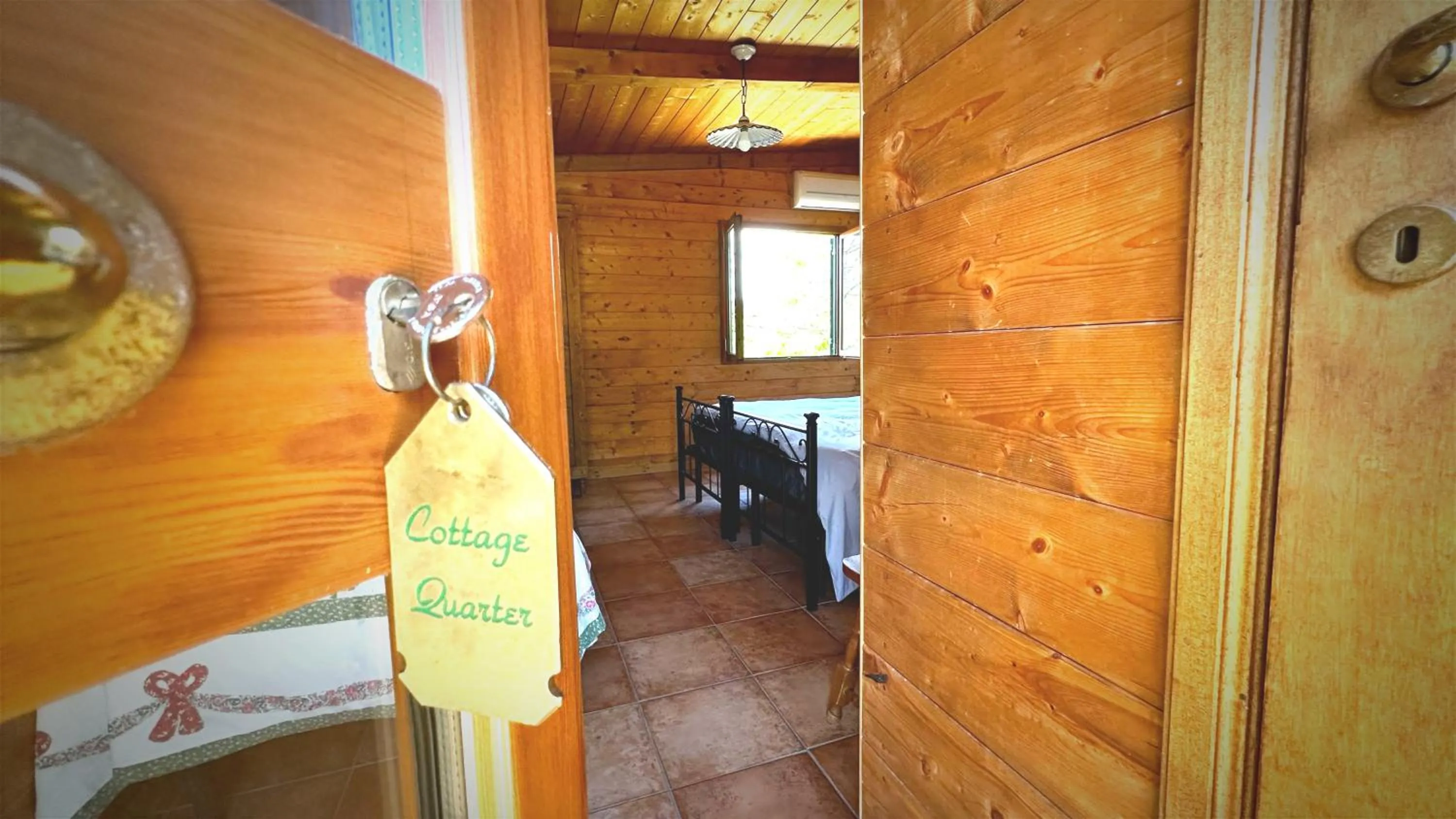 Night in the Wood Sorbo