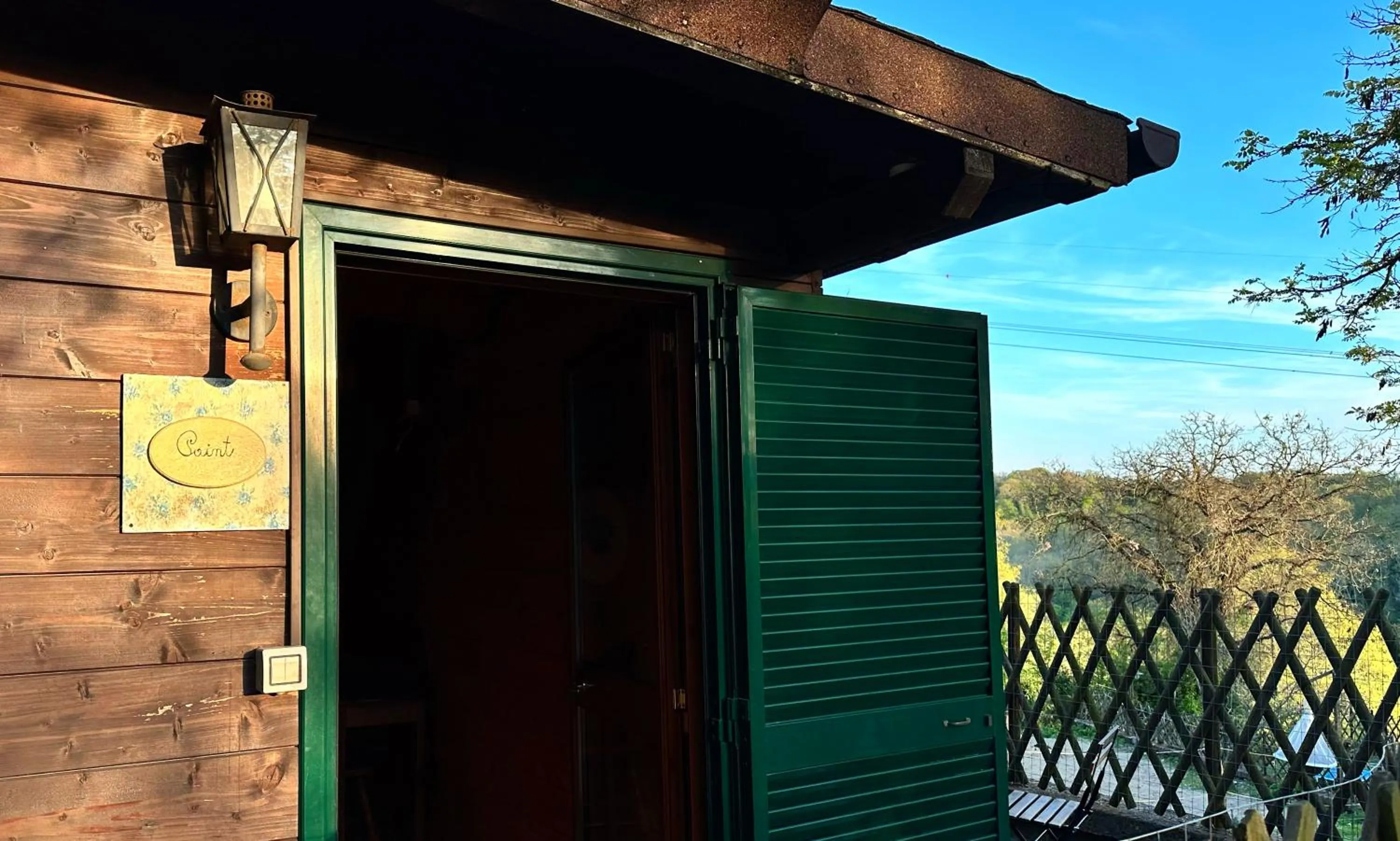 Night in the Wood Sorbo