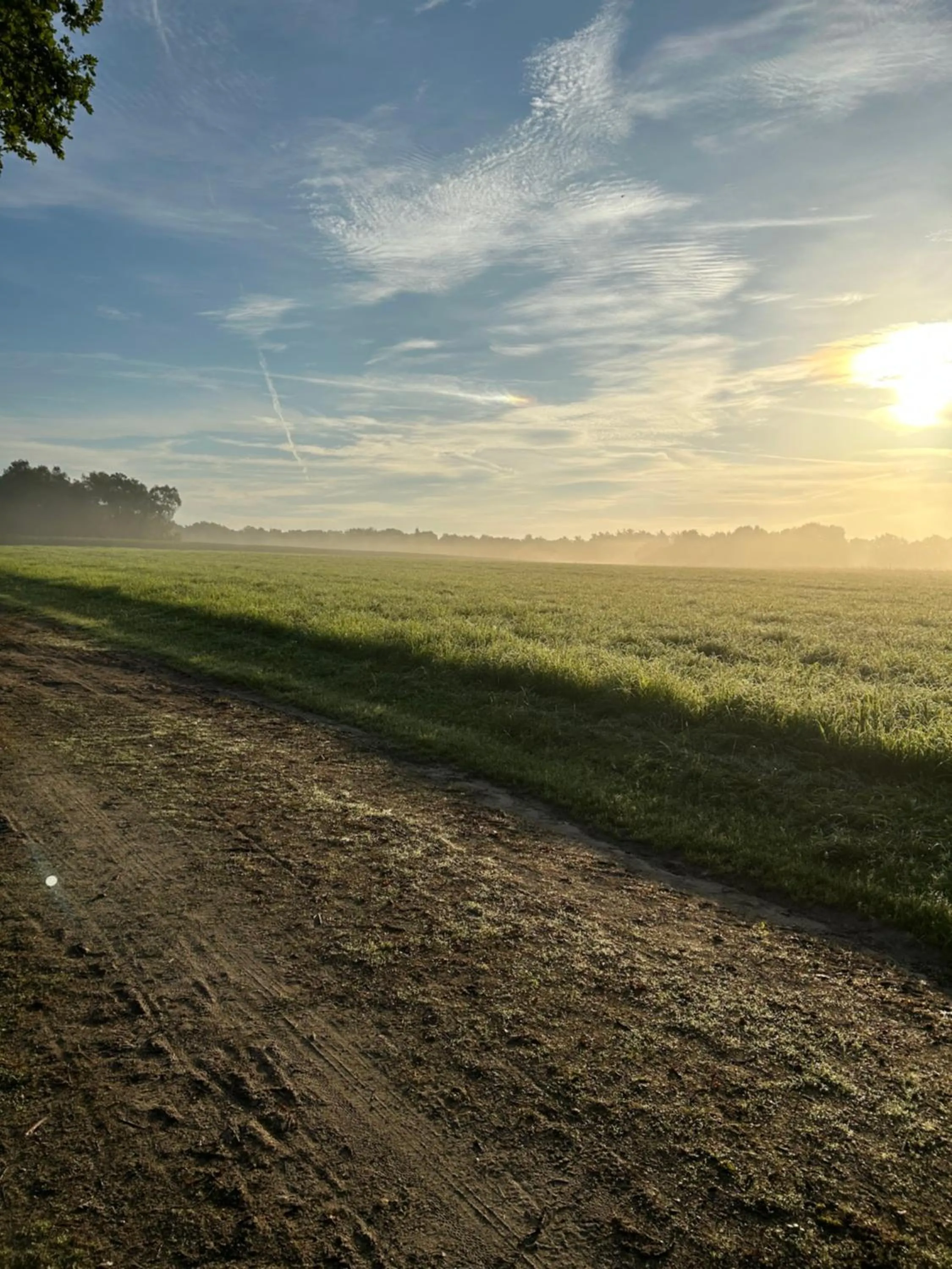 Natural landscape in De Postelhoek B&B