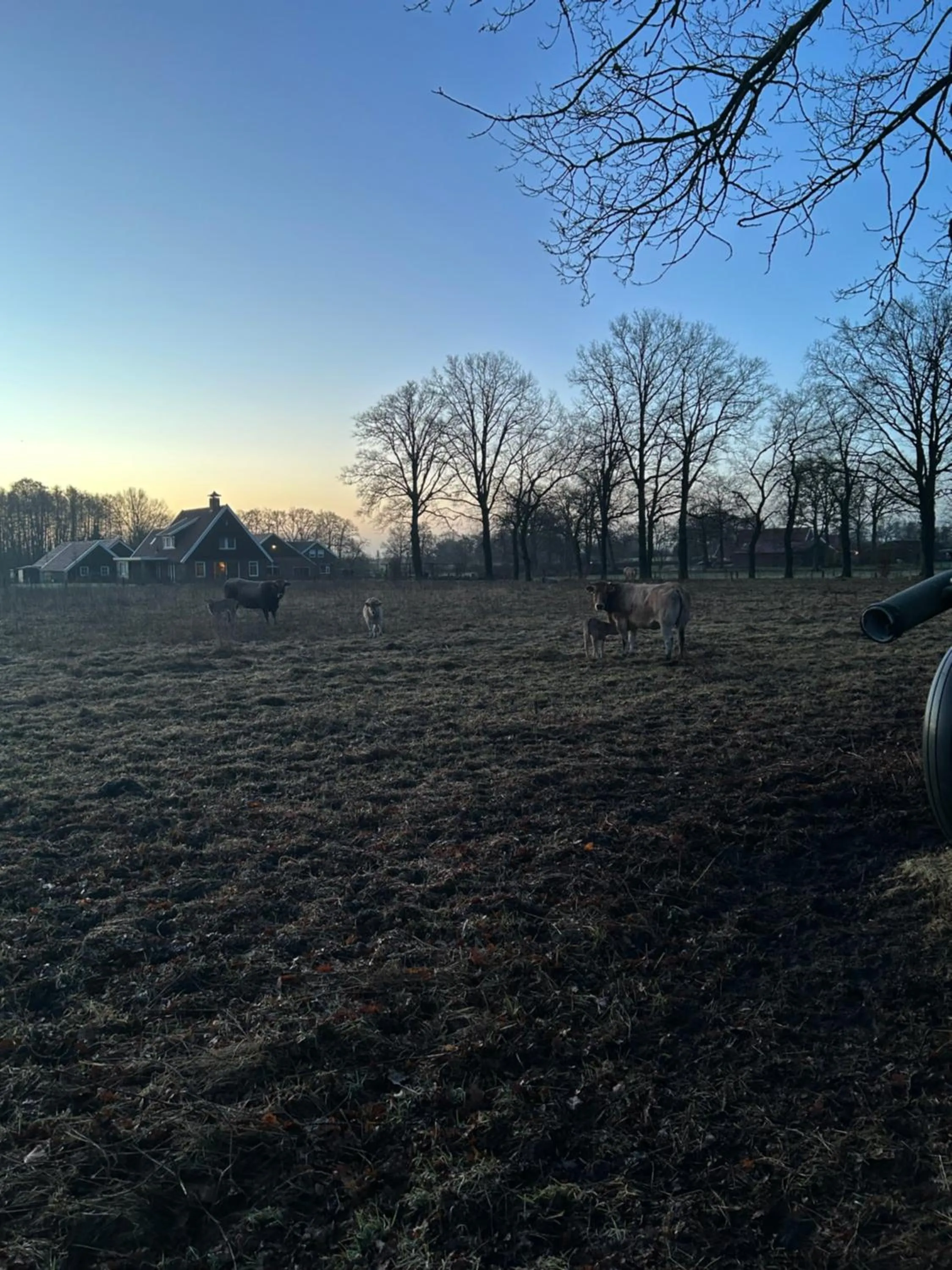Natural landscape in De Postelhoek B&B