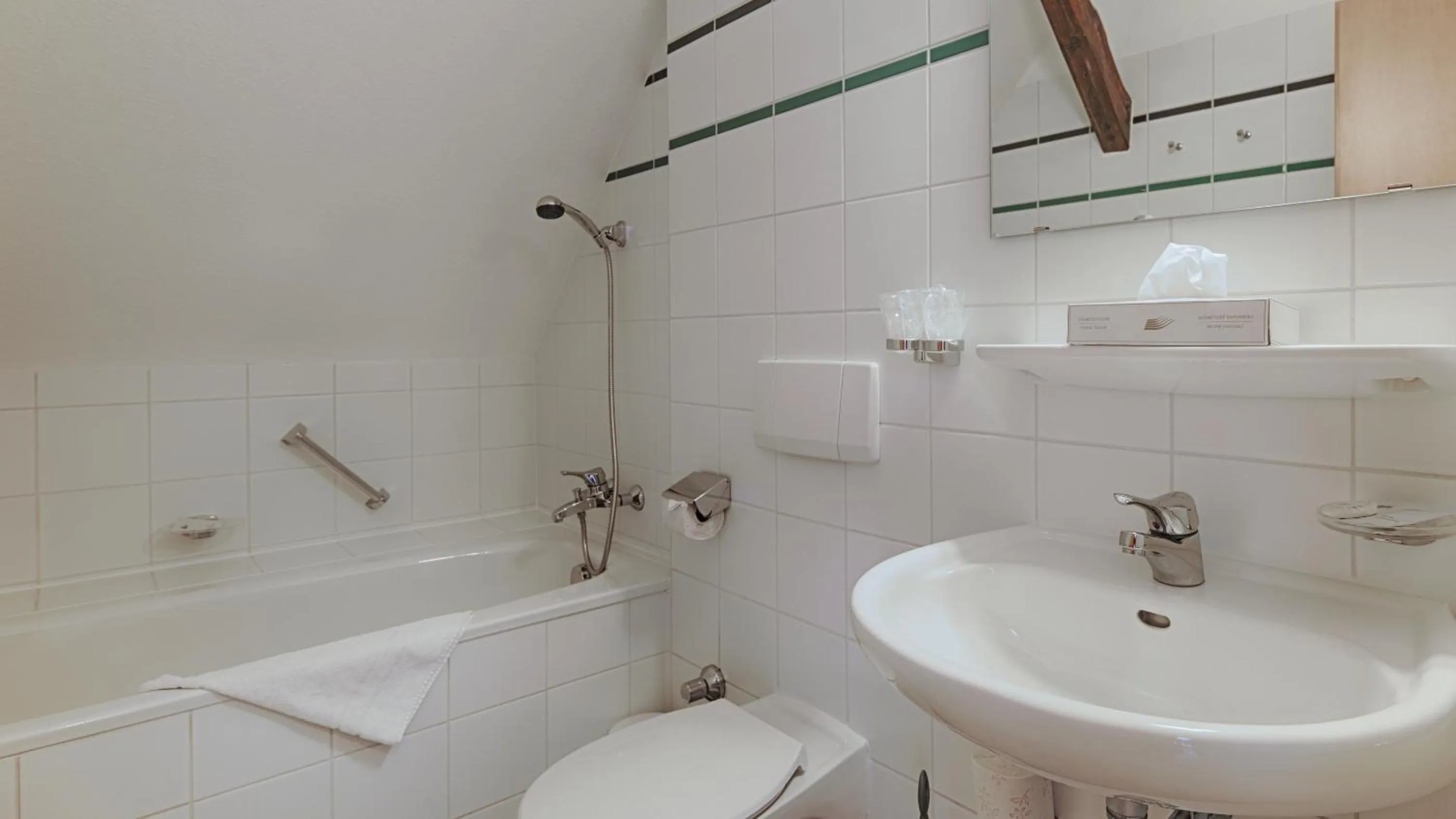 Toilet in Hotel Luther Birke Wittenberg