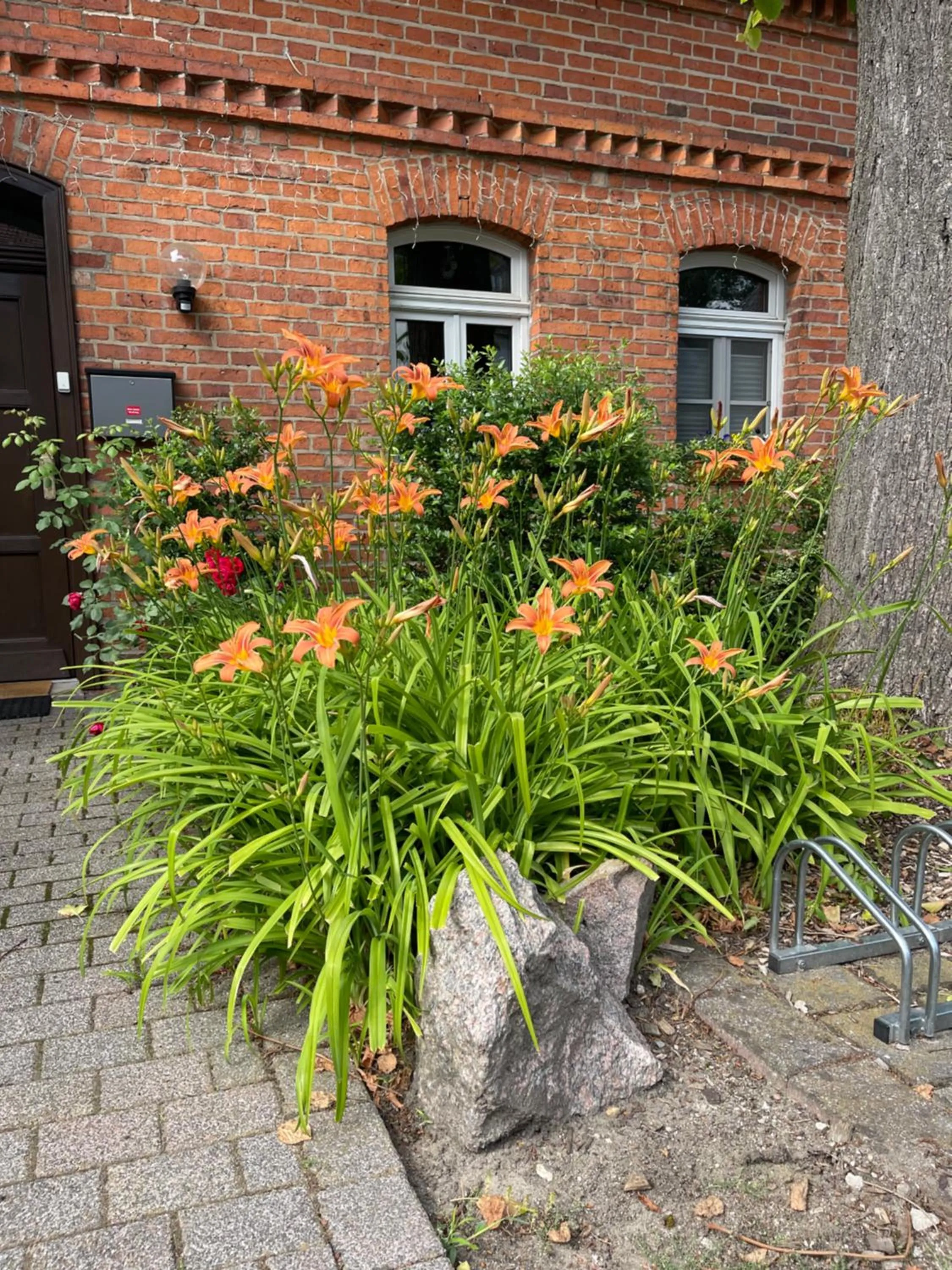 Property building in Hotel Luther Birke Wittenberg