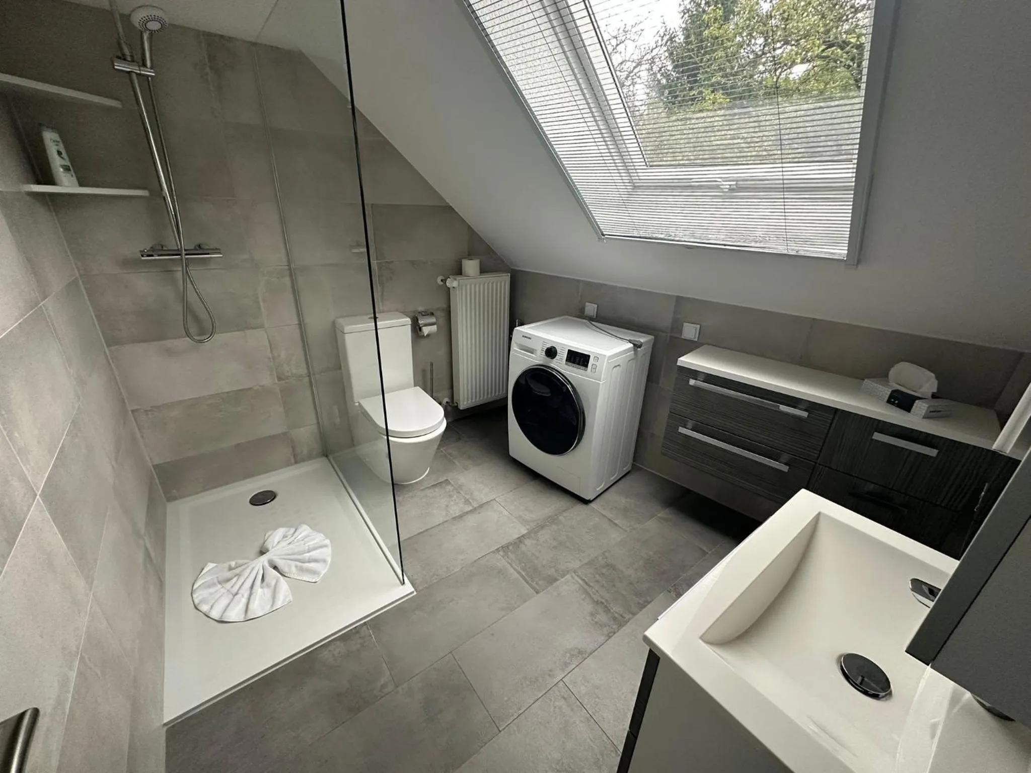 Shower in Hotel Luther Birke Wittenberg