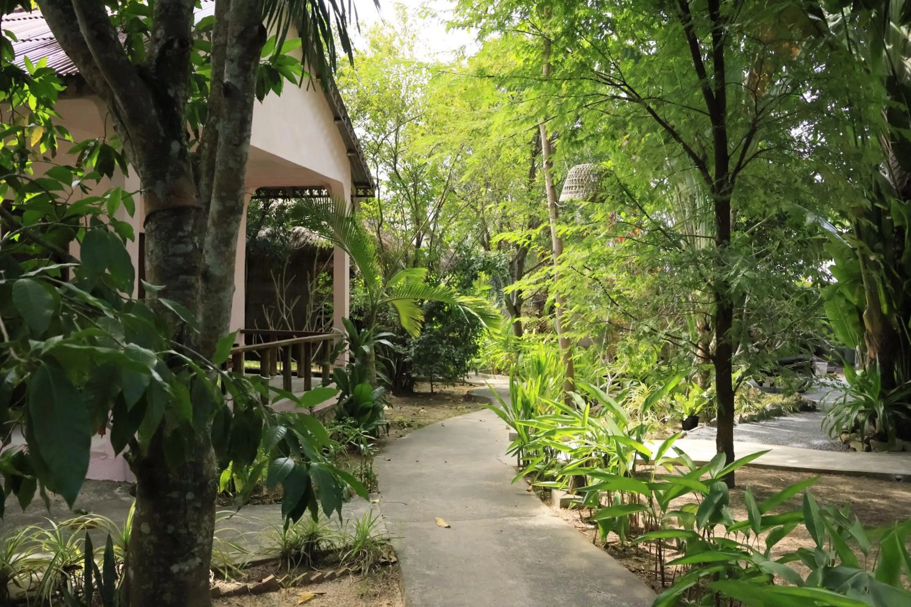 Garden in Bird of Paradise Bungalows