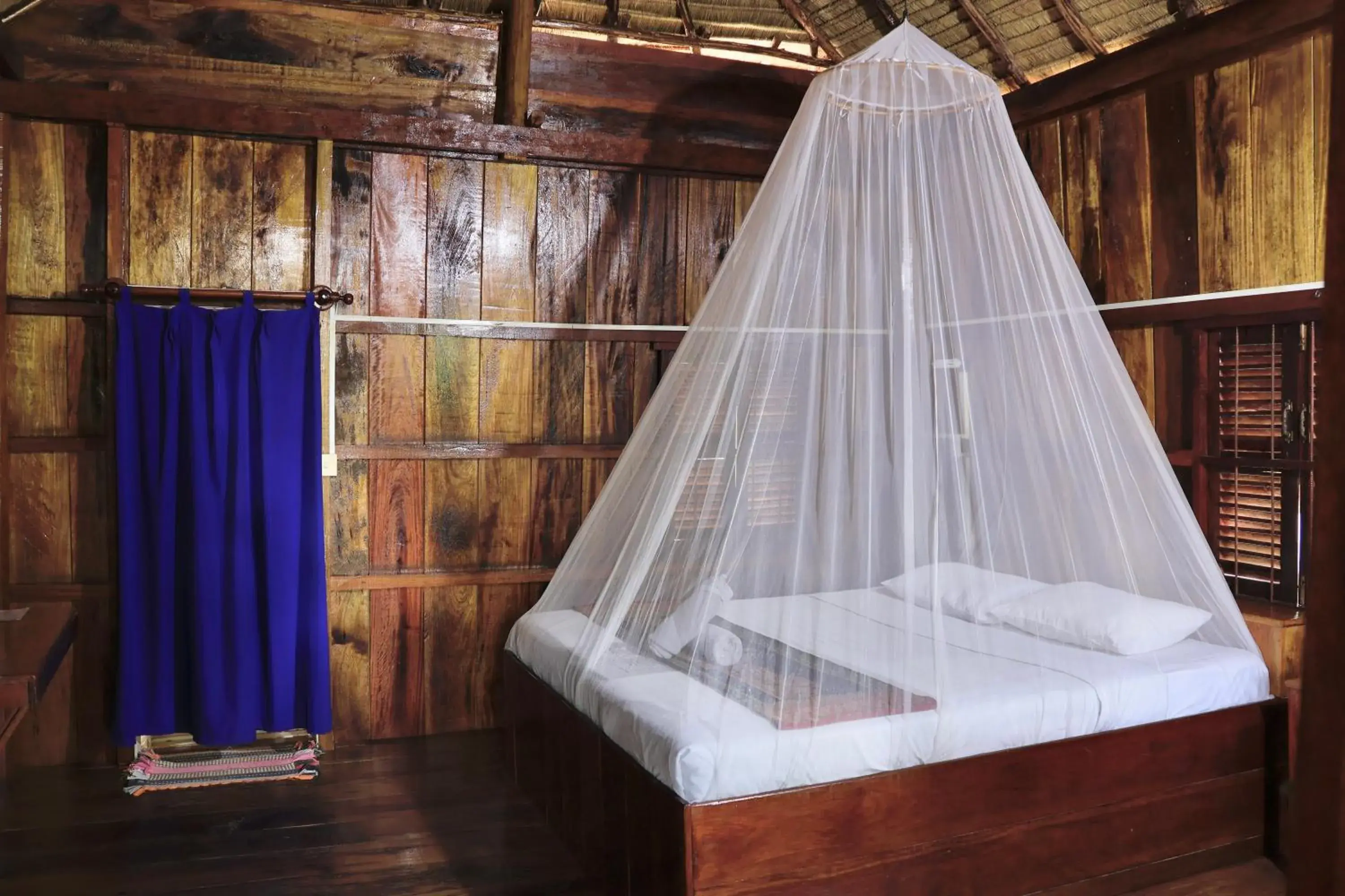 Garden view in Bird of Paradise Bungalows Garden view in Bird of Paradise Bungalows