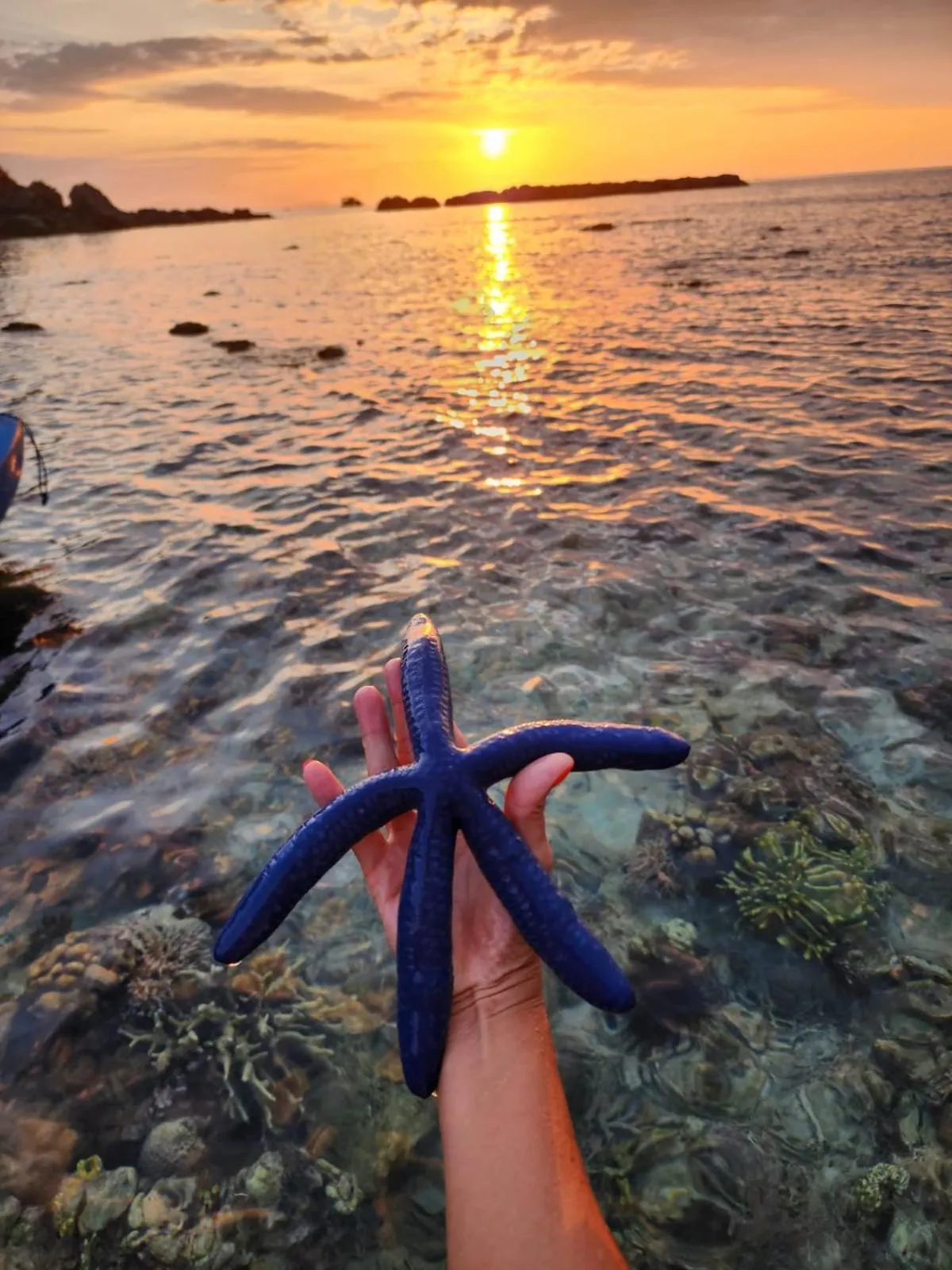 Beach in Sylvia Hotel & Resort Komodo